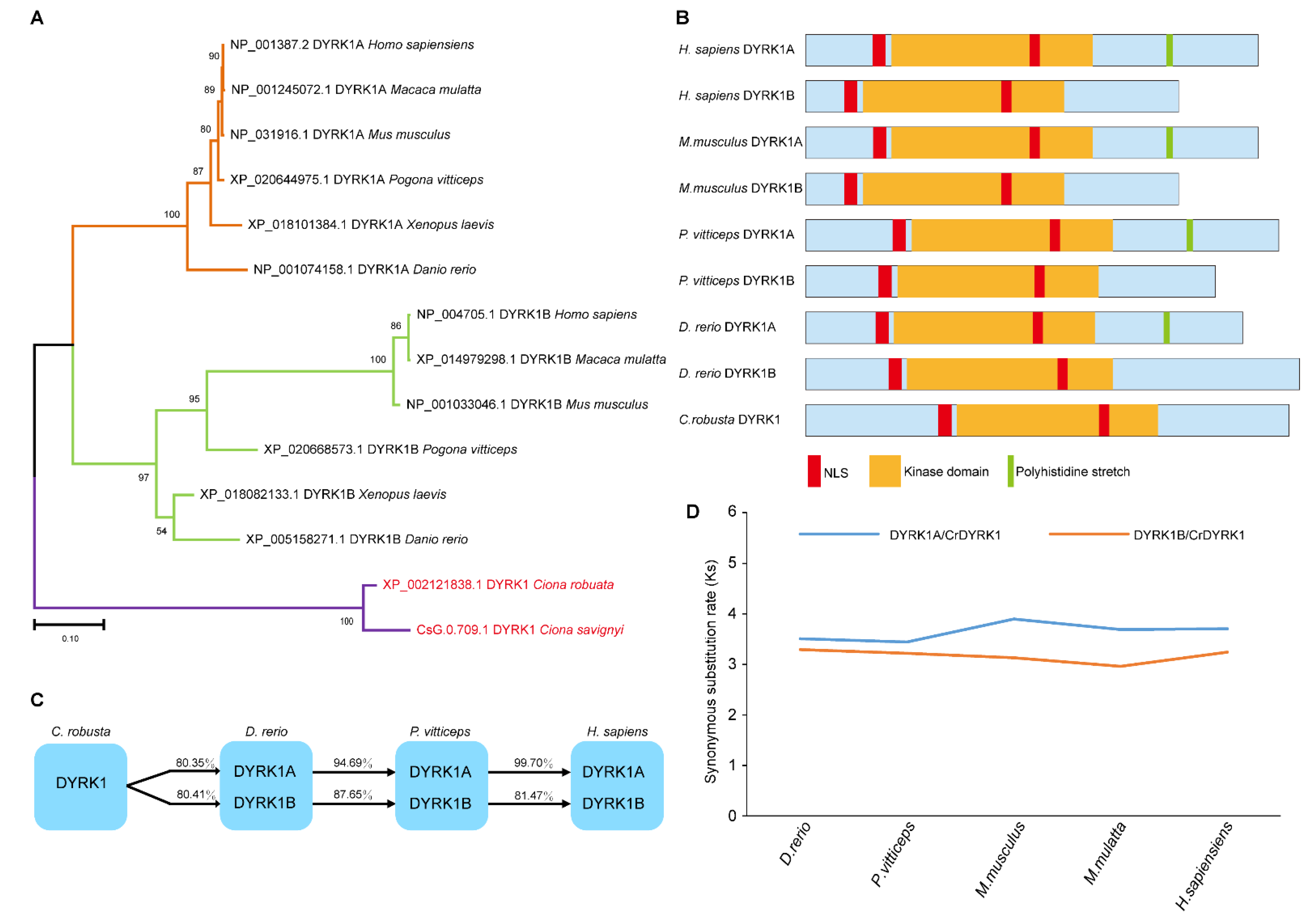 Biomolecules 13 00283 g001
