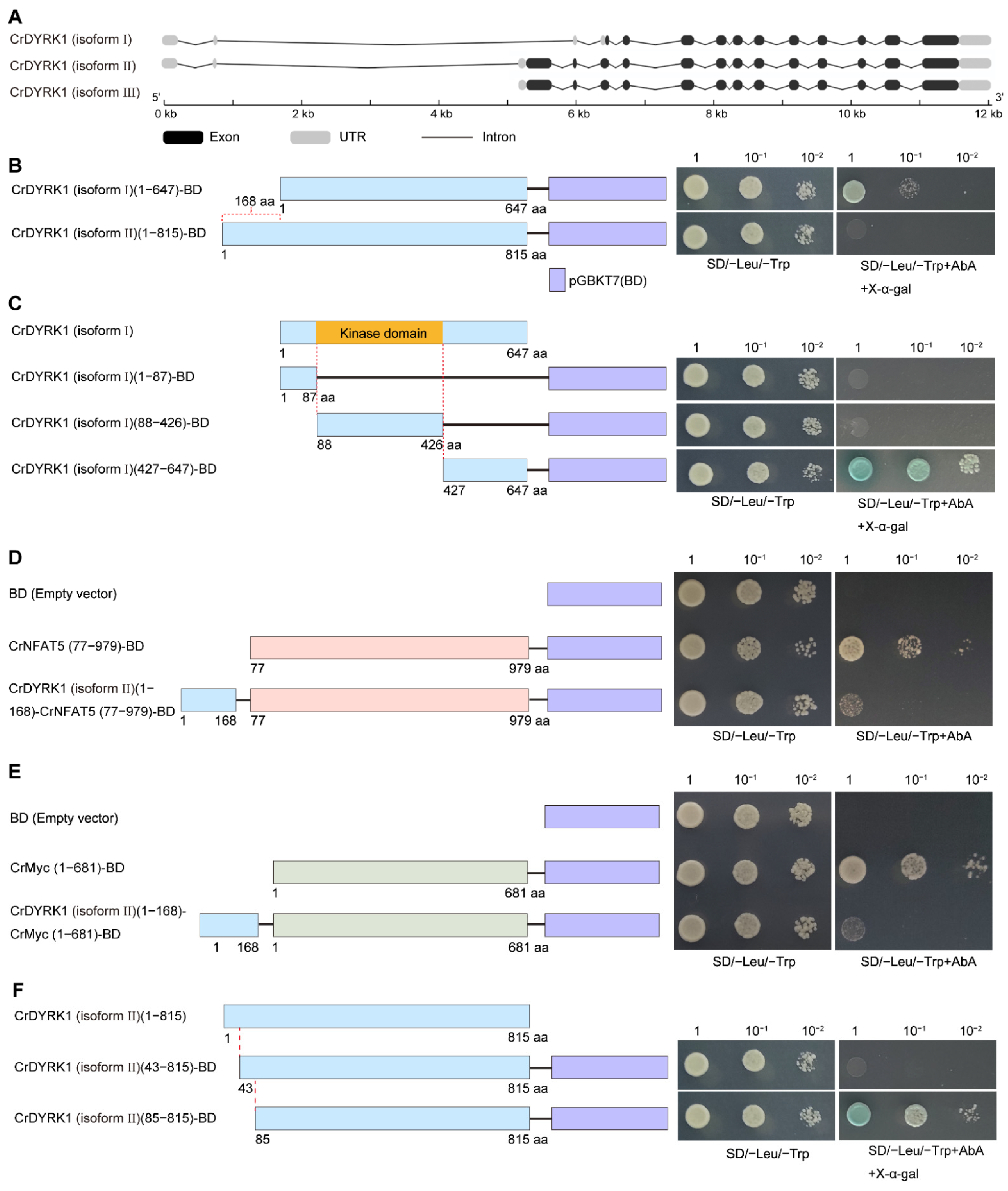 Biomolecules 13 00283 g002