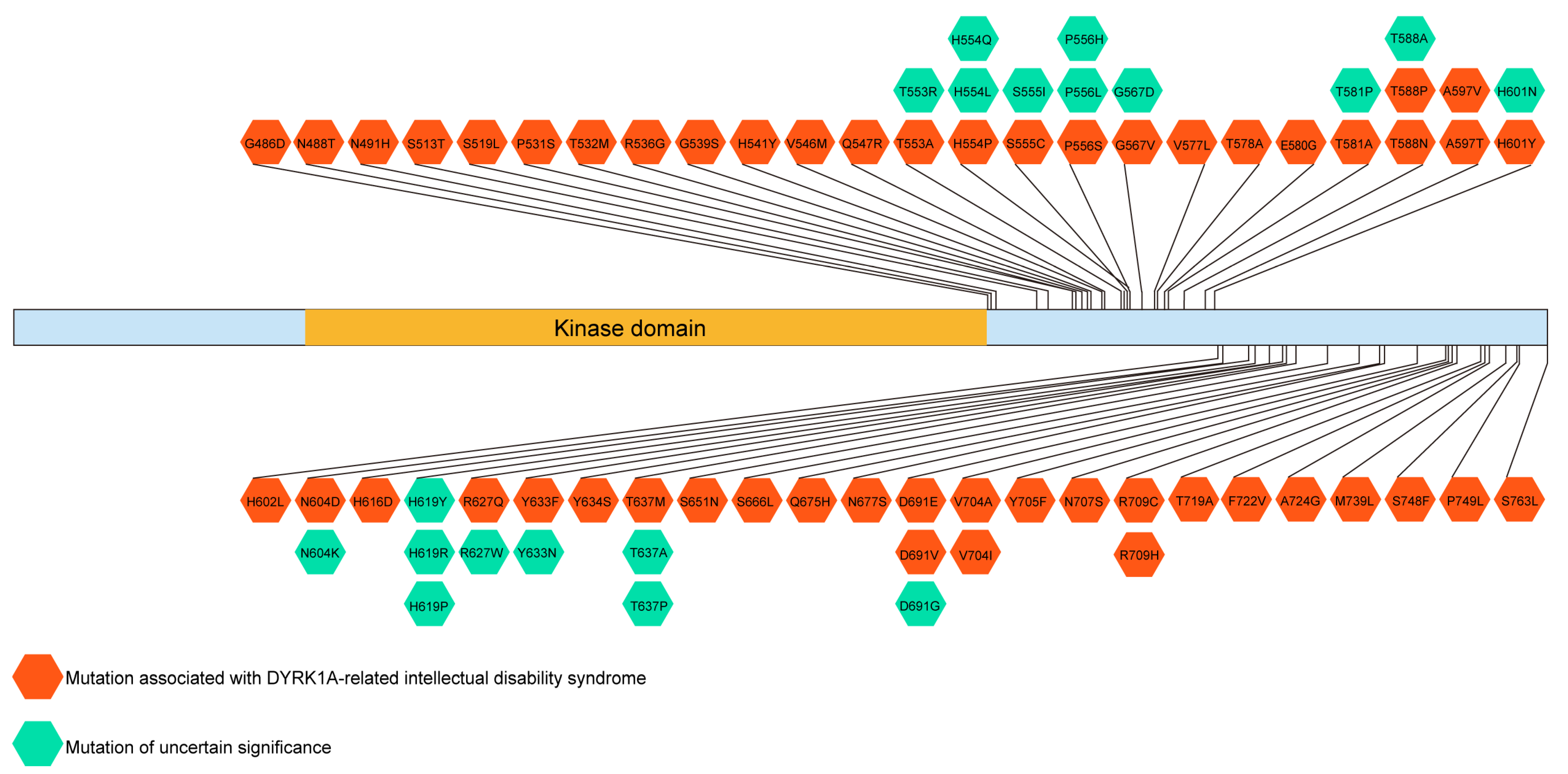 Biomolecules 13 00283 g005