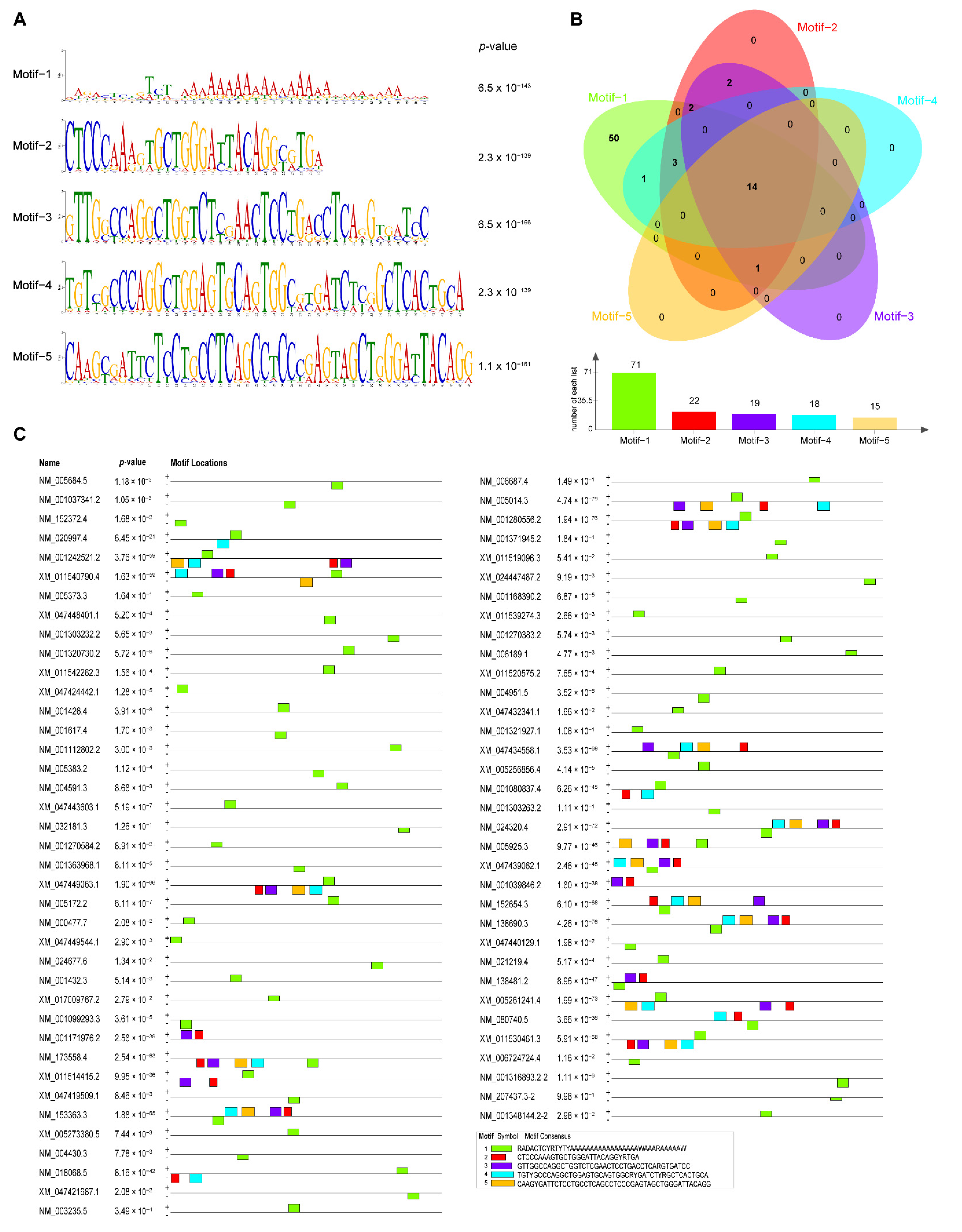 Biomolecules 13 00283 g006