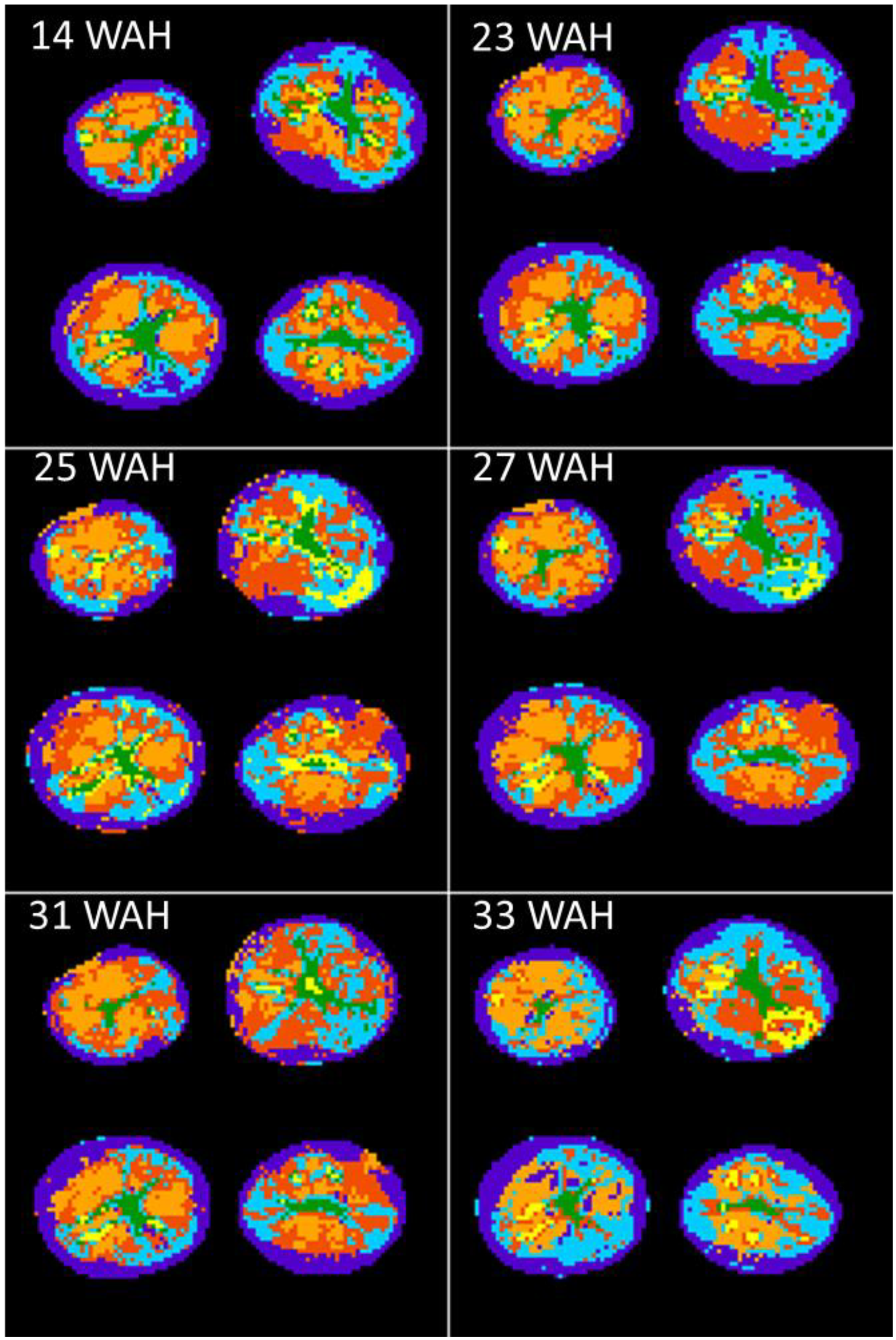 Biomolecules 13 00286 g003