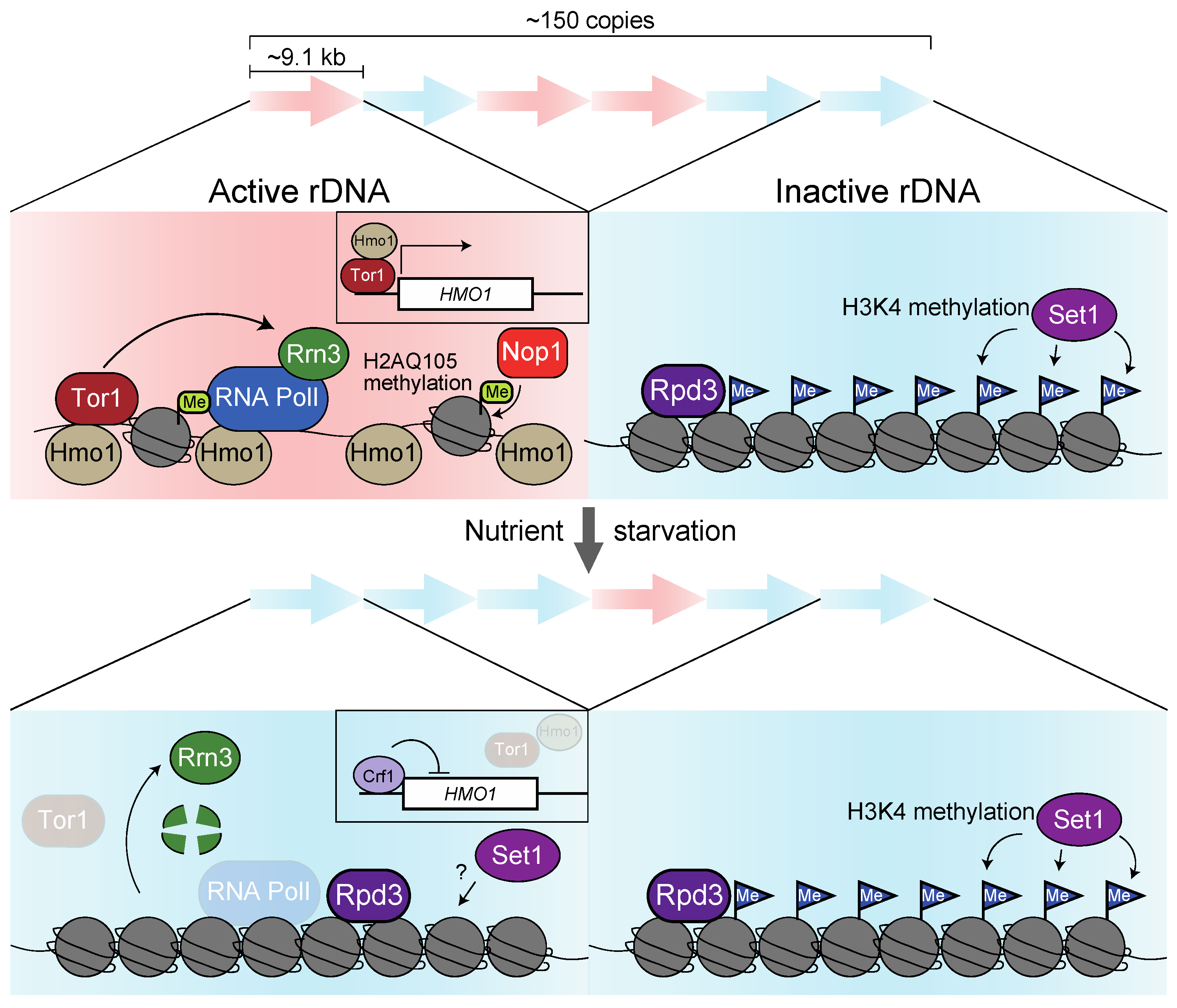 Biomolecules 13 00288 g003
