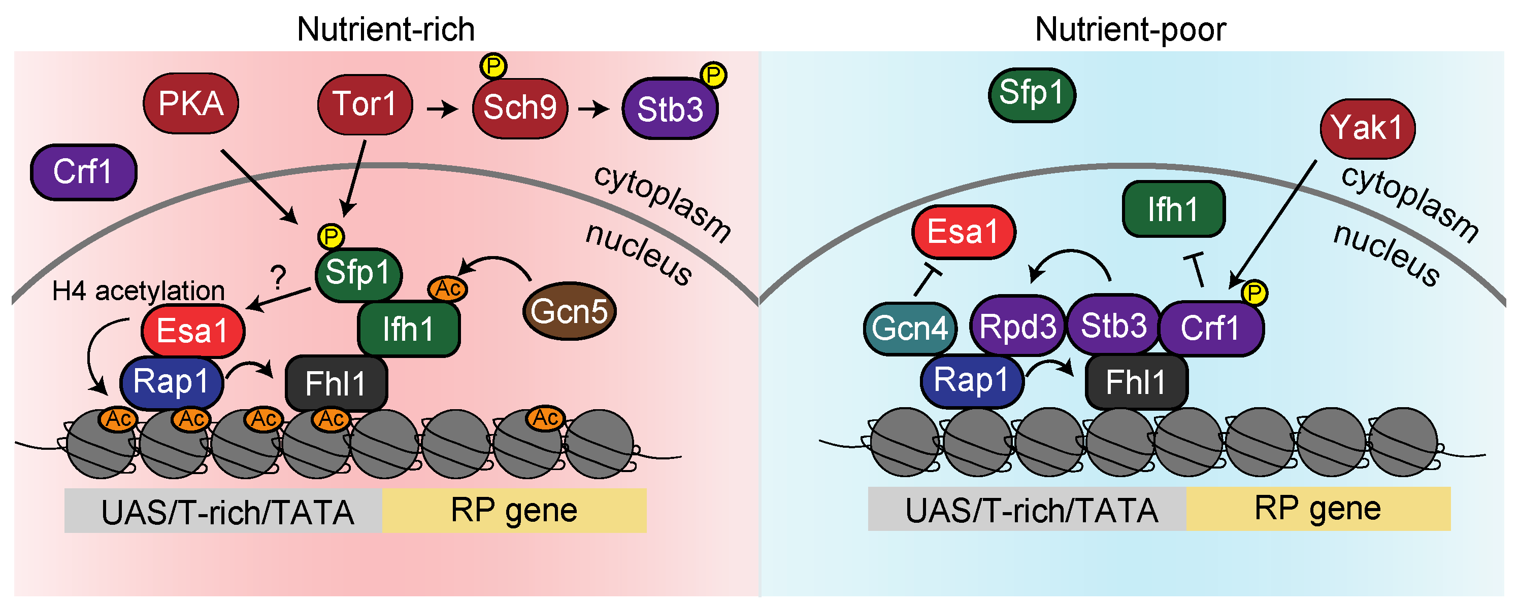 Biomolecules 13 00288 g004