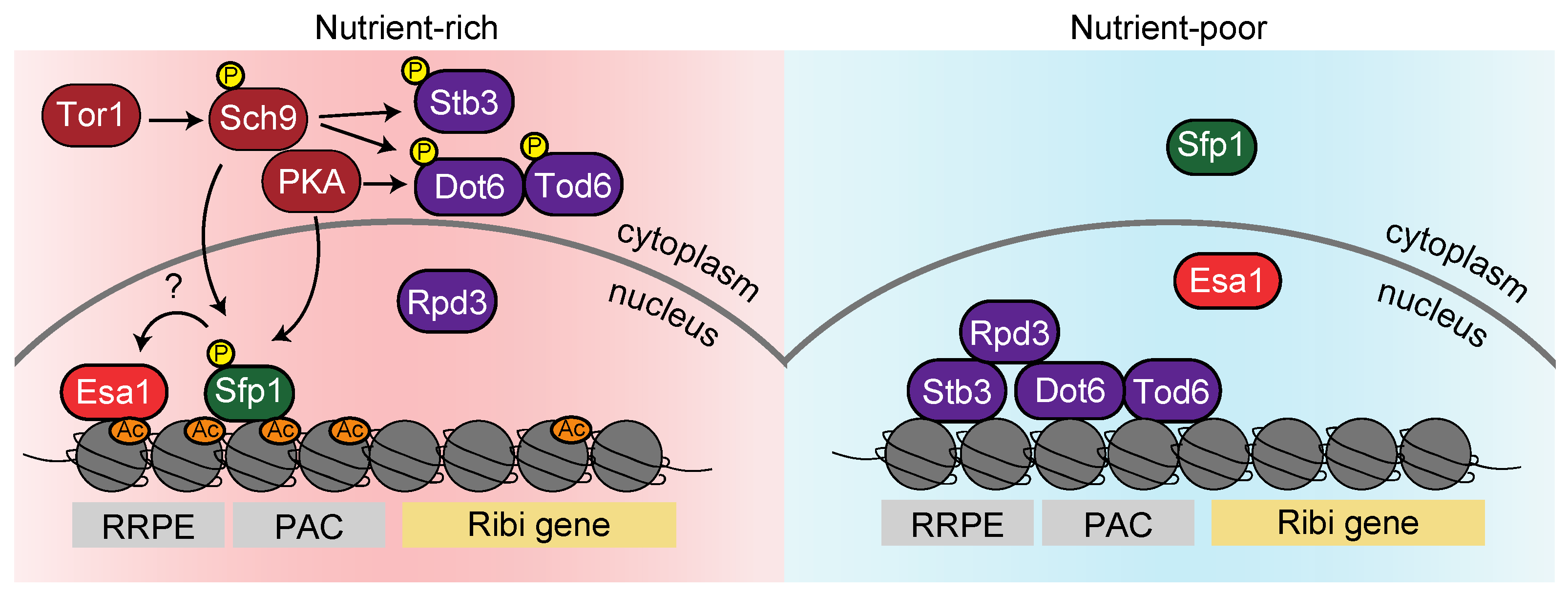 Biomolecules 13 00288 g005