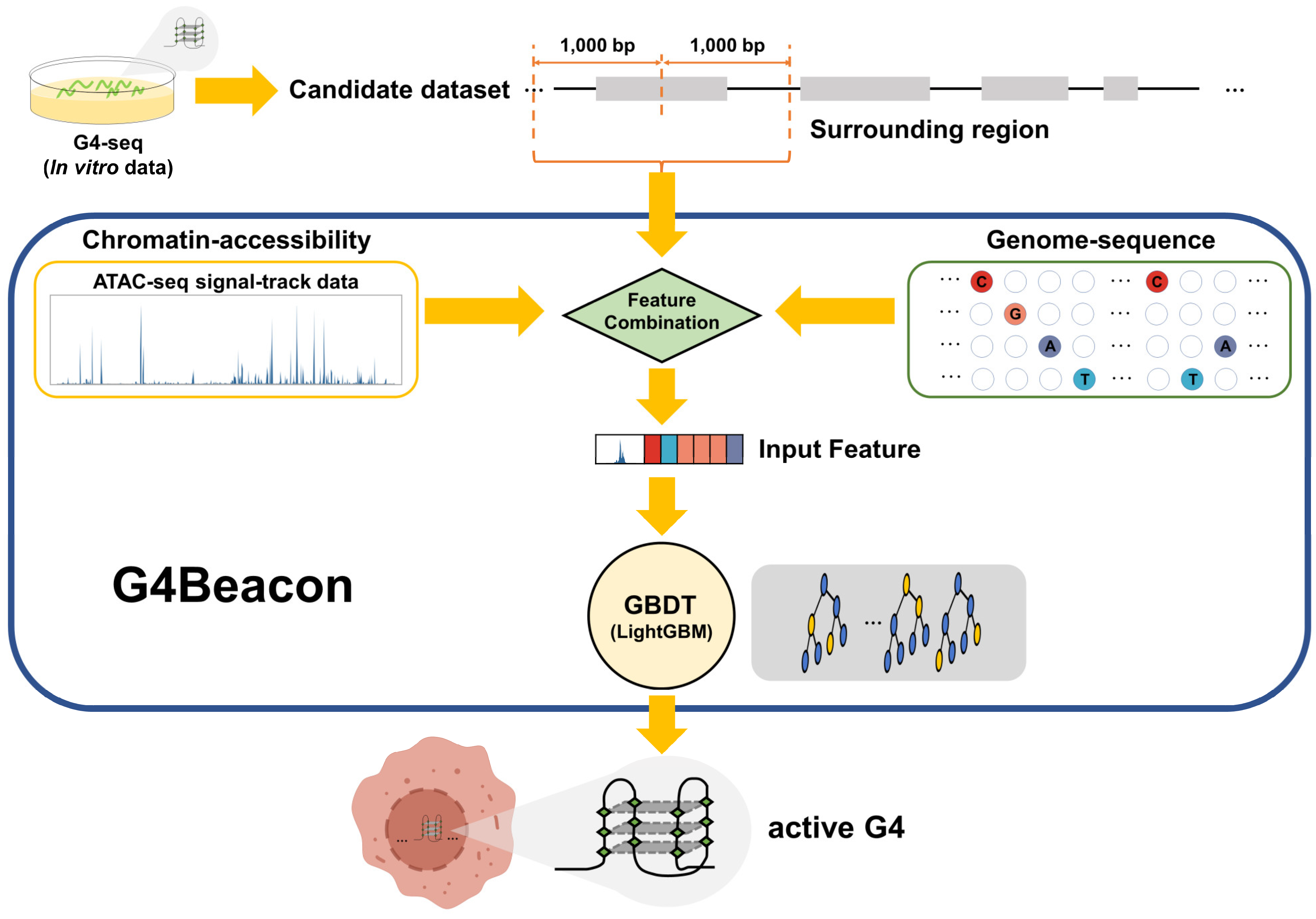 Biomolecules 13 00292 g001