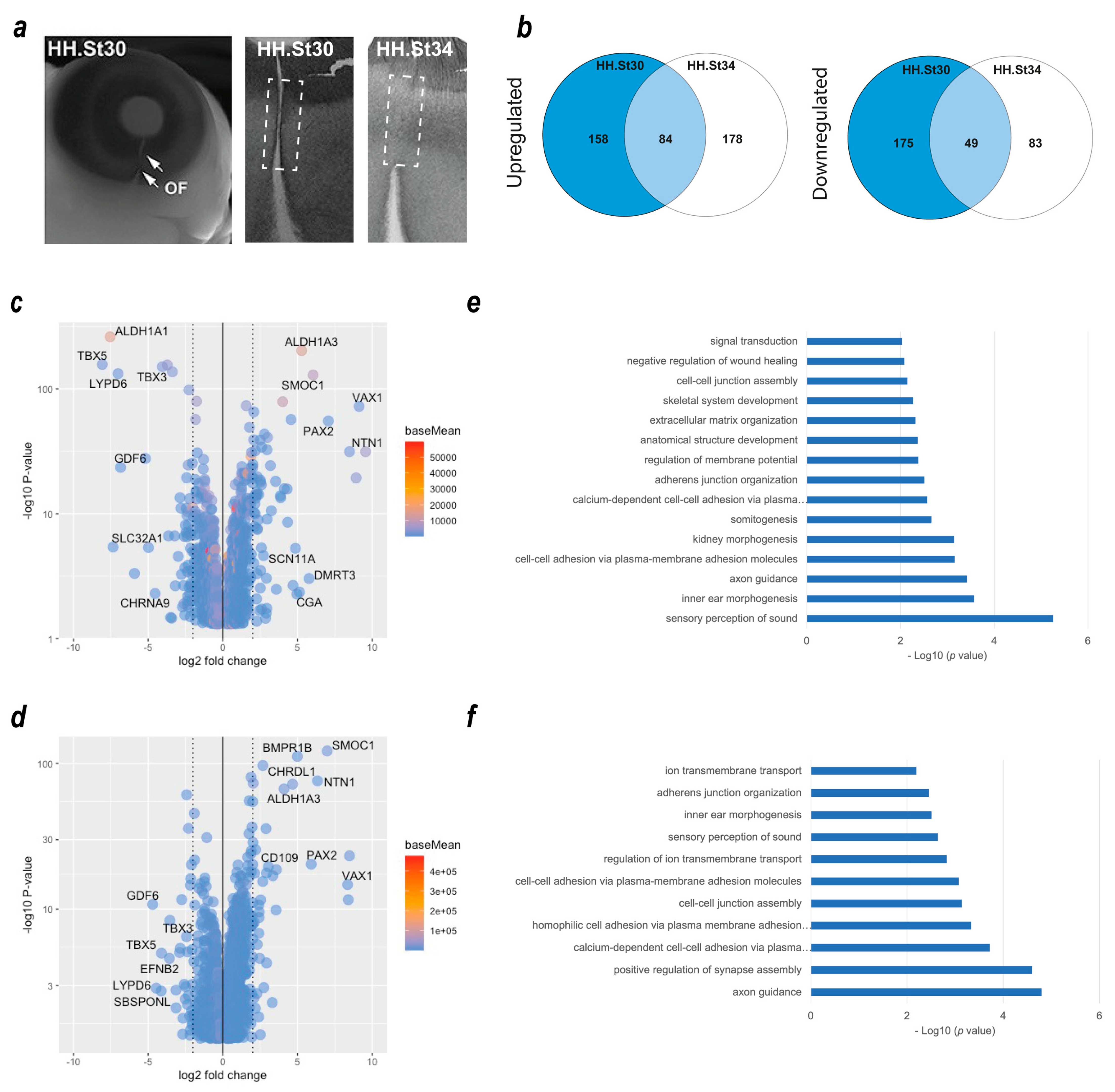 Biomolecules 13 00293 g001