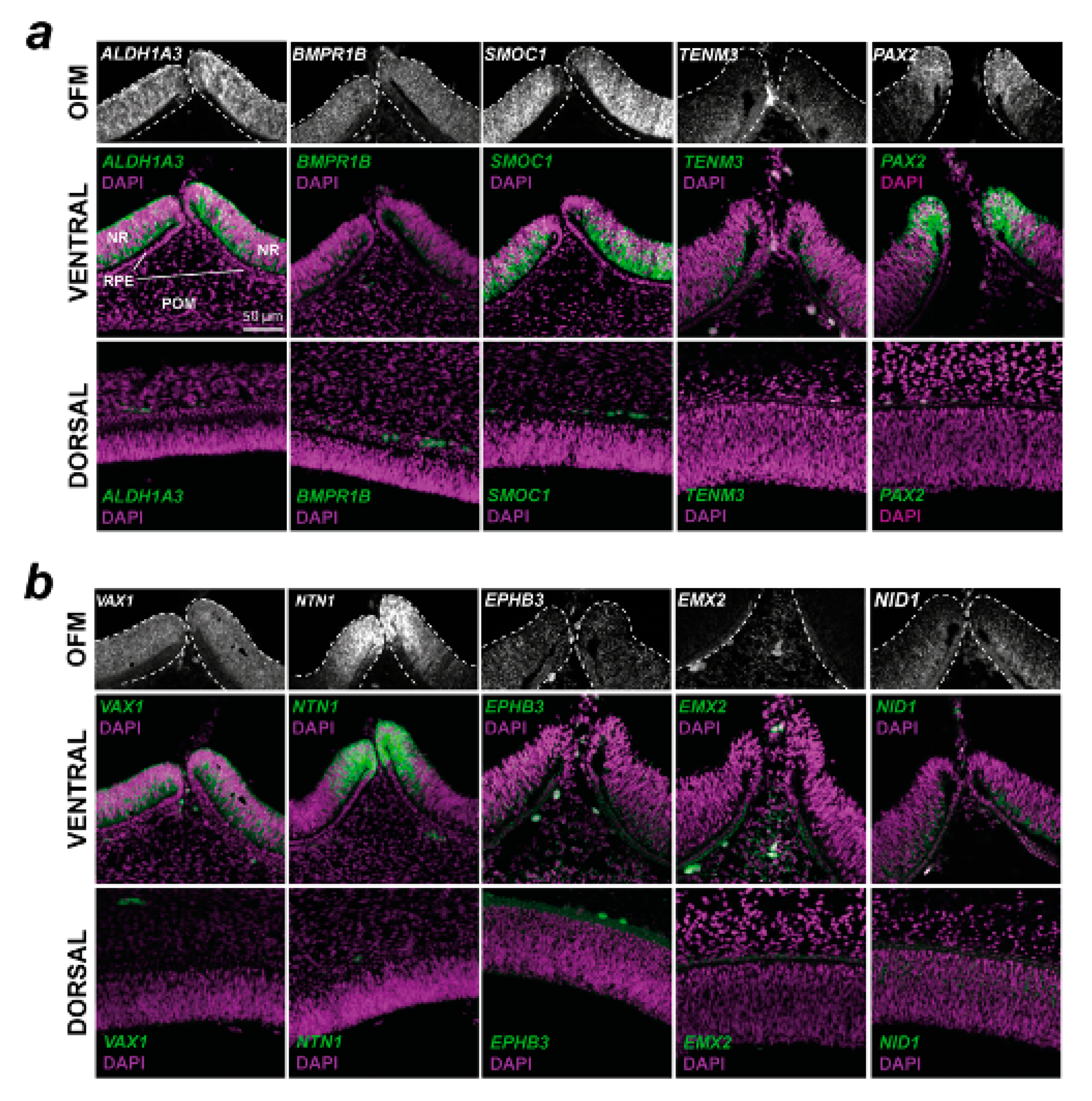 Biomolecules 13 00293 g003