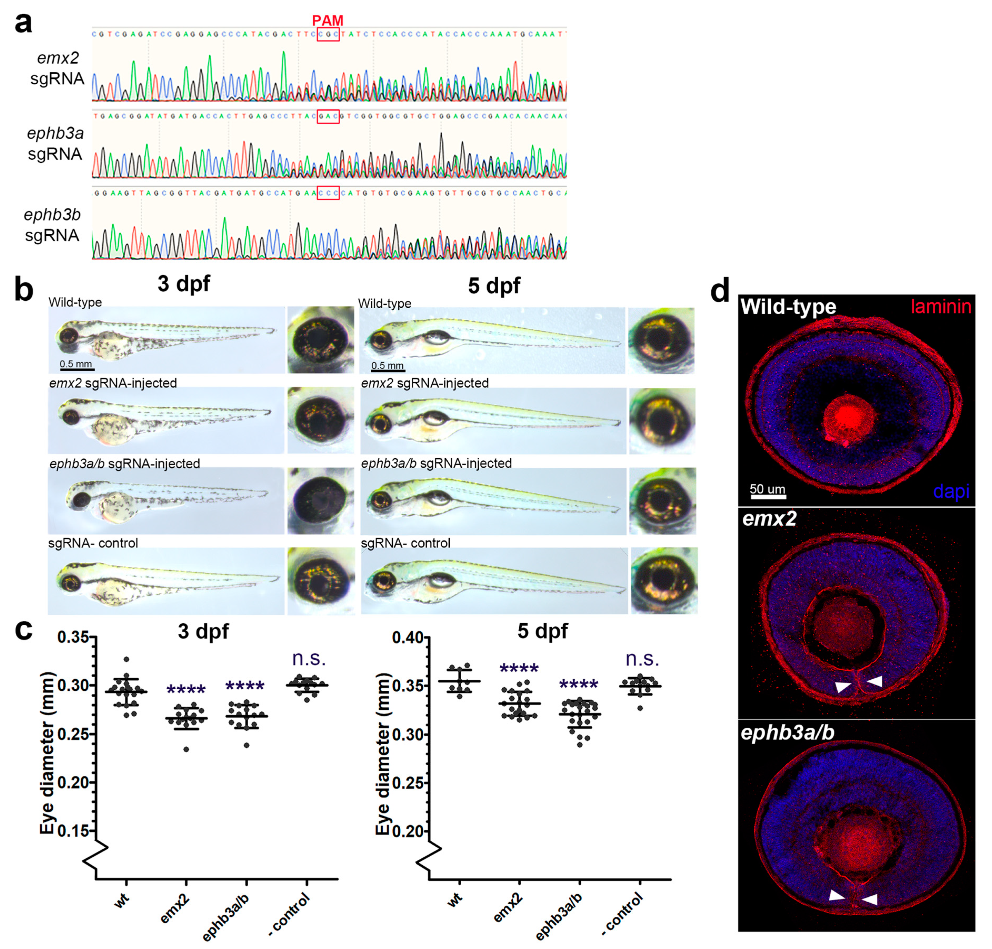 Biomolecules 13 00293 g004