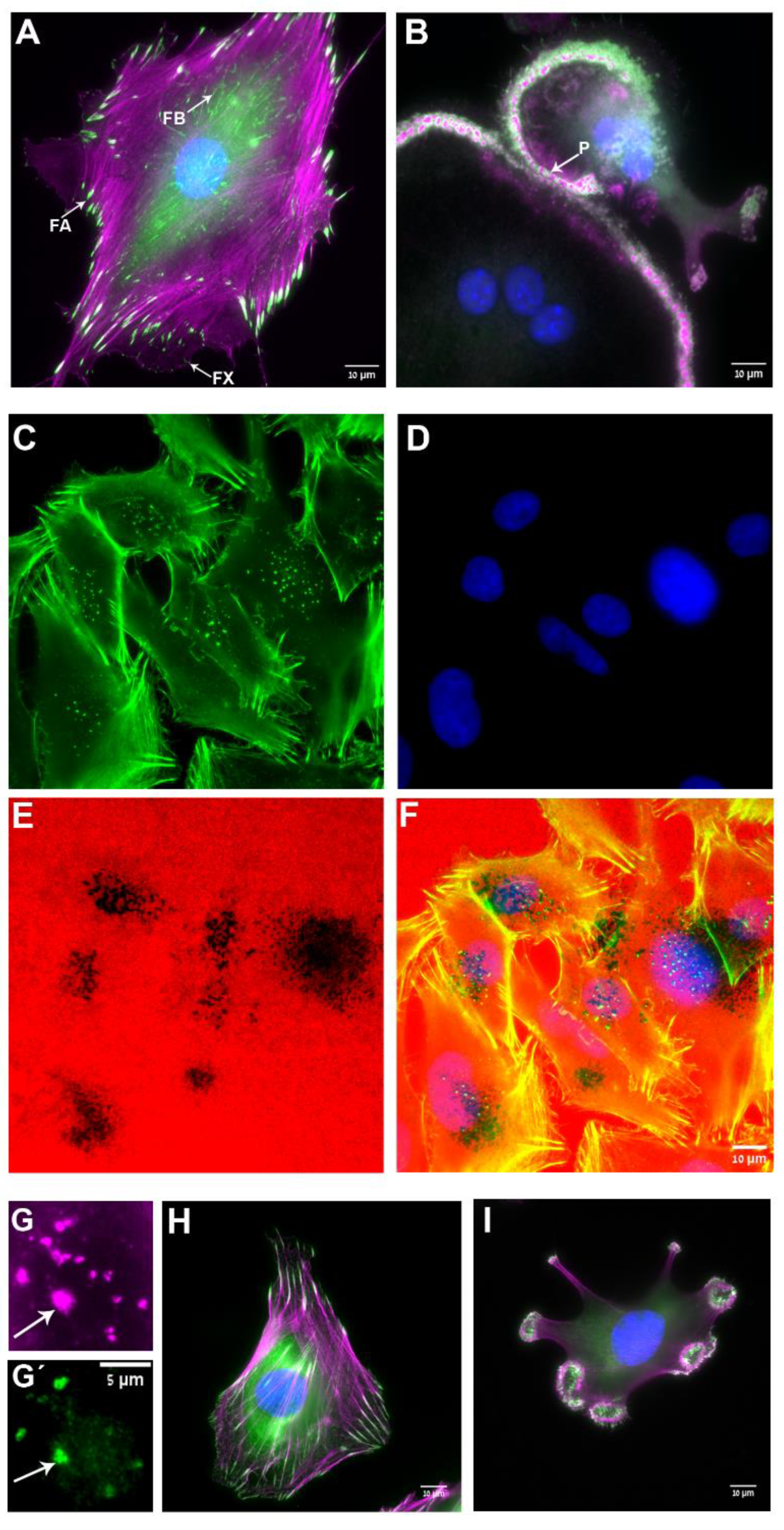 Biomolecules 13 00294 g001
