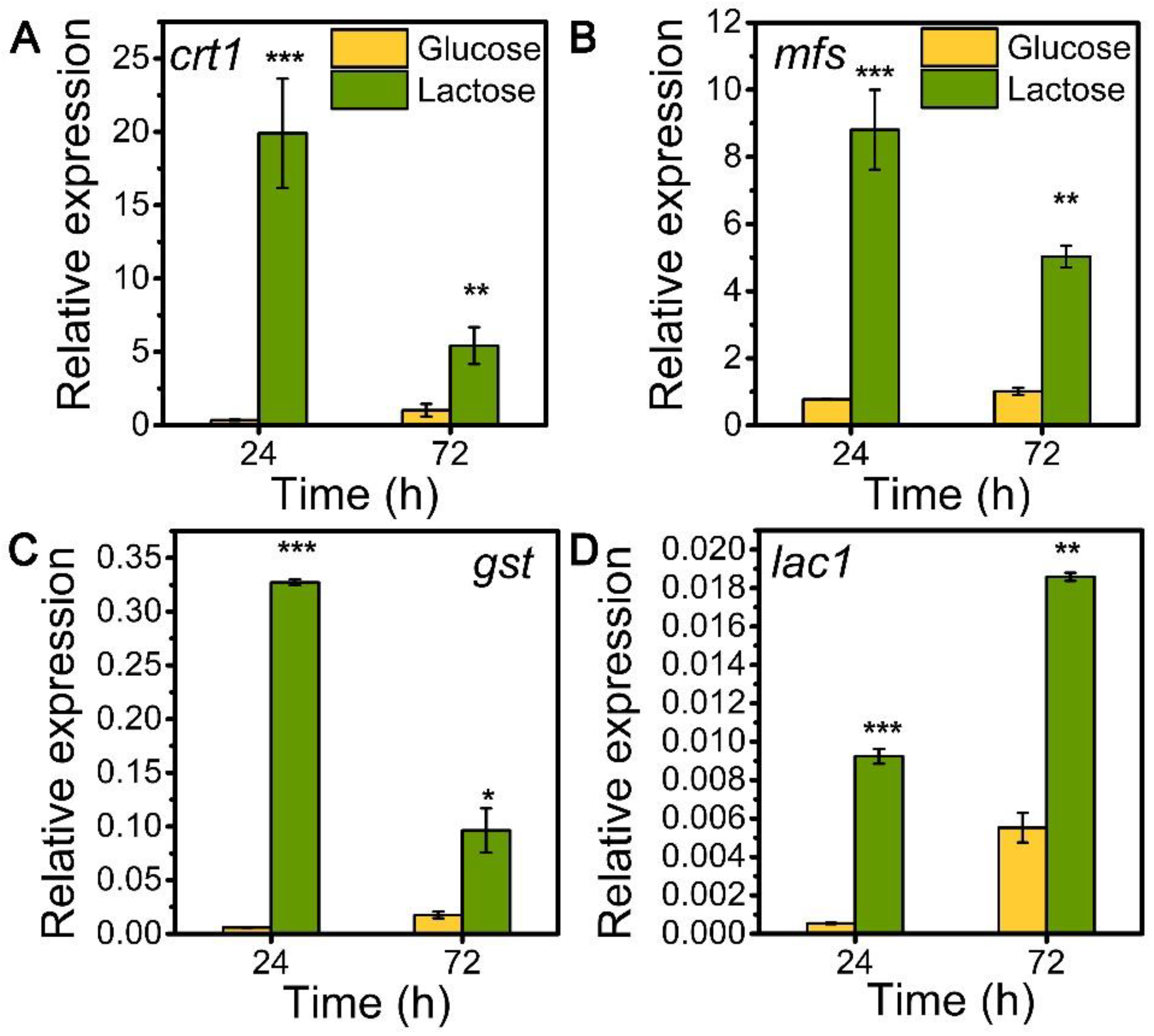 Biomolecules 13 00295 g001