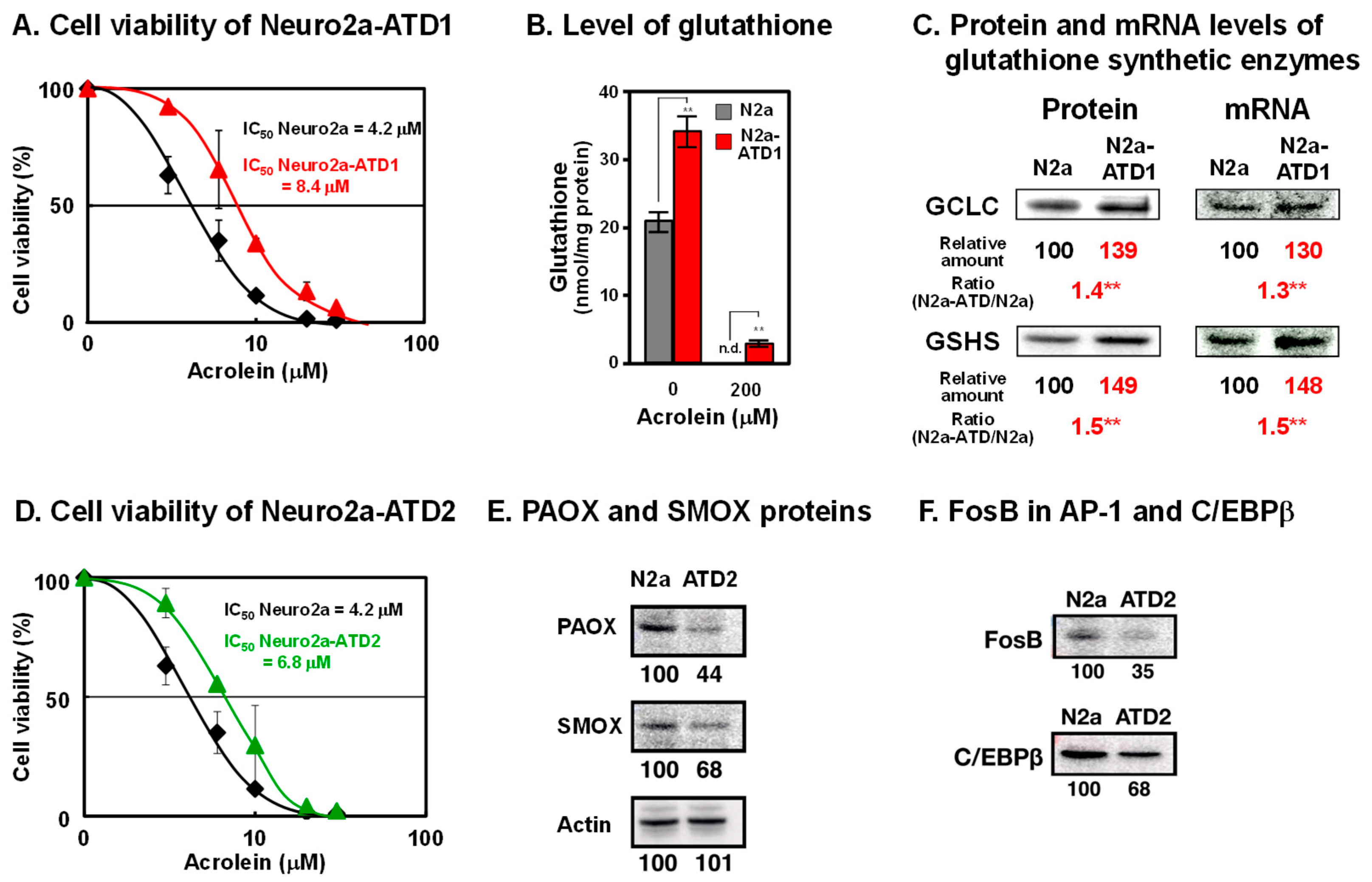 Biomolecules 13 00298 g001