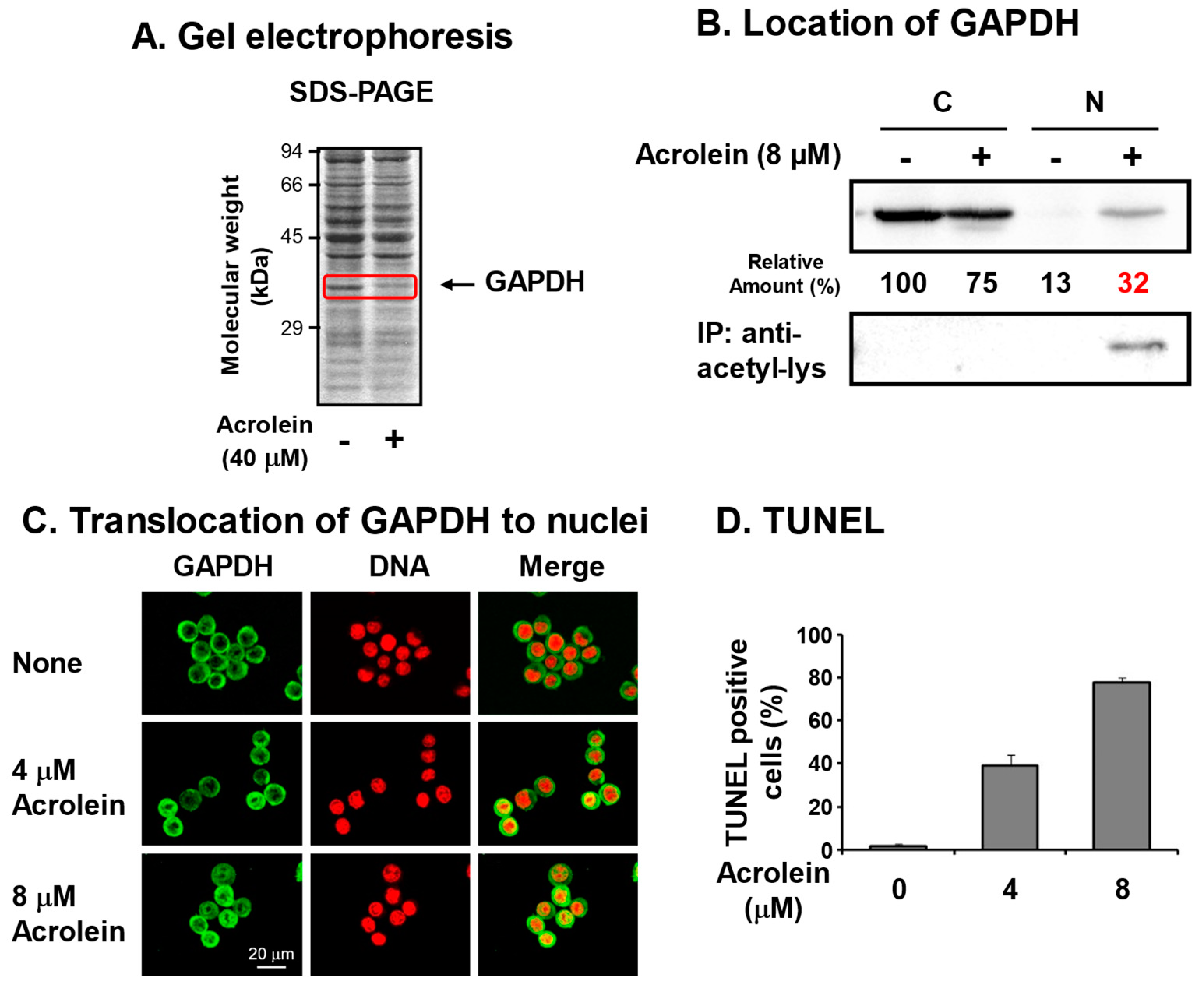 Biomolecules 13 00298 g002