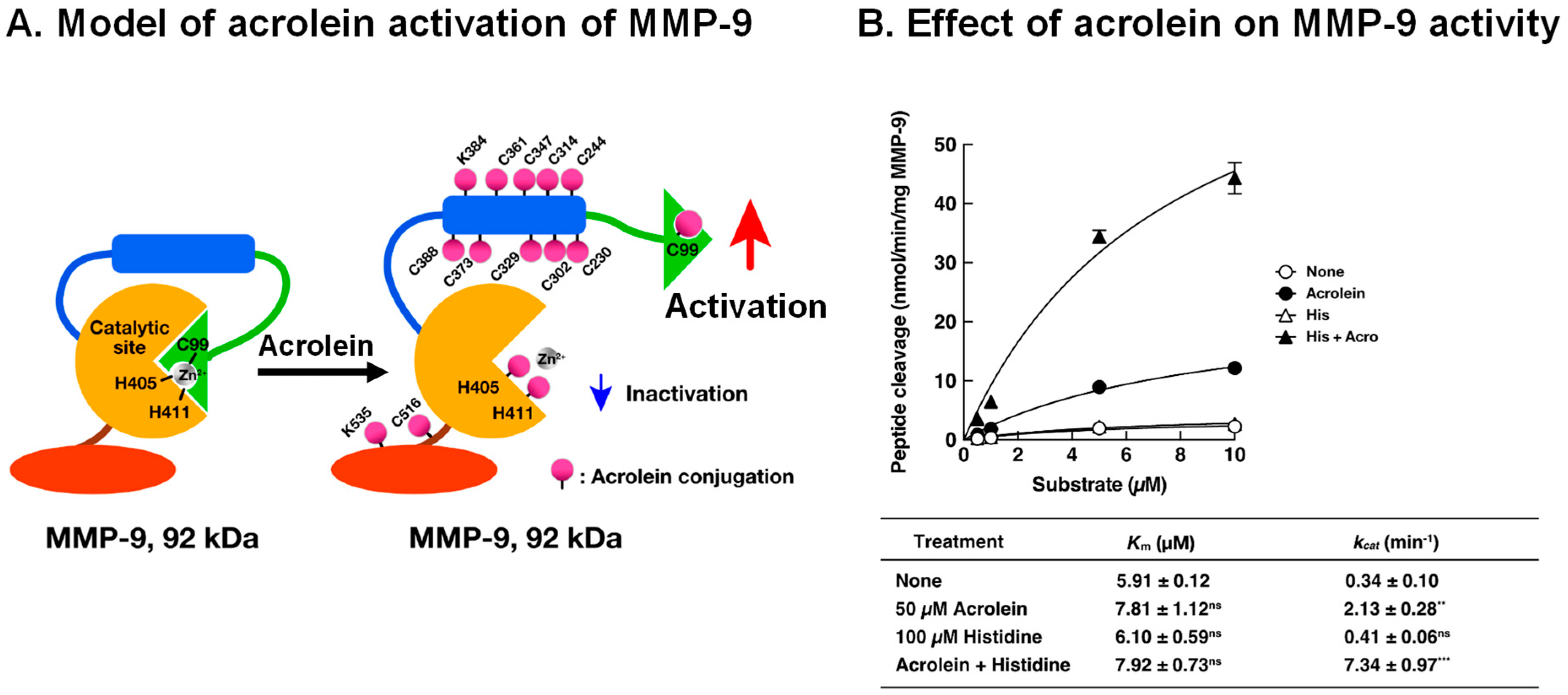 Biomolecules 13 00298 g006