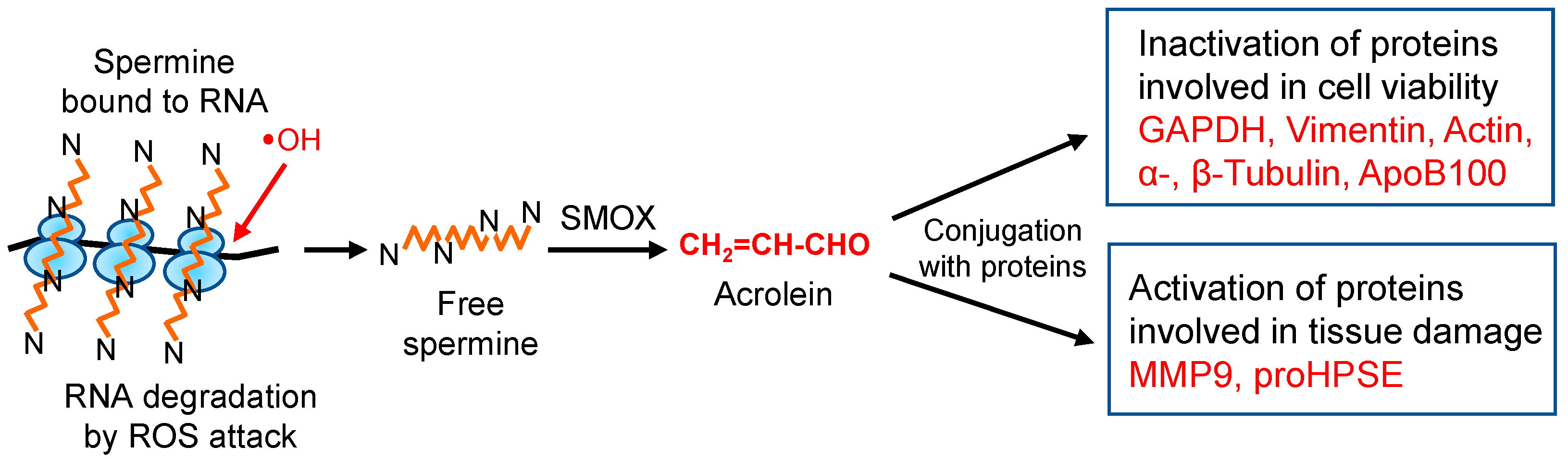 Biomolecules 13 00298 g008