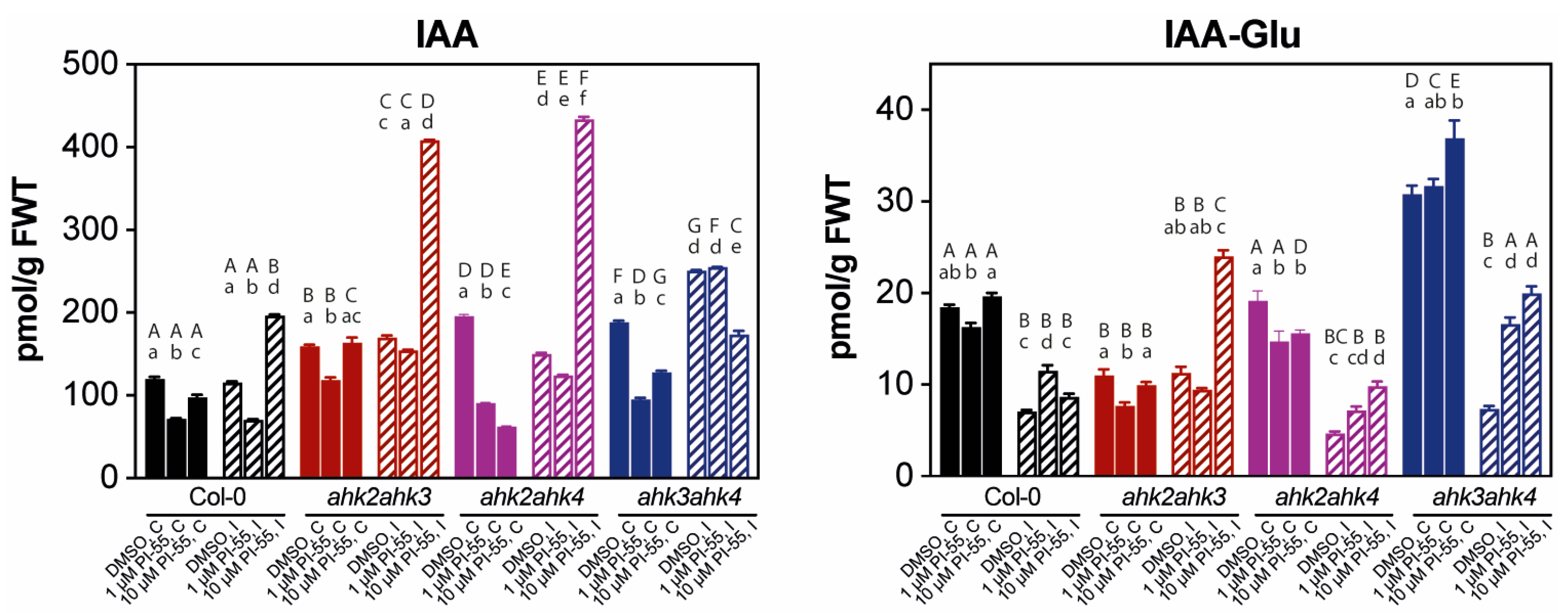 Biomolecules 13 00299 g005