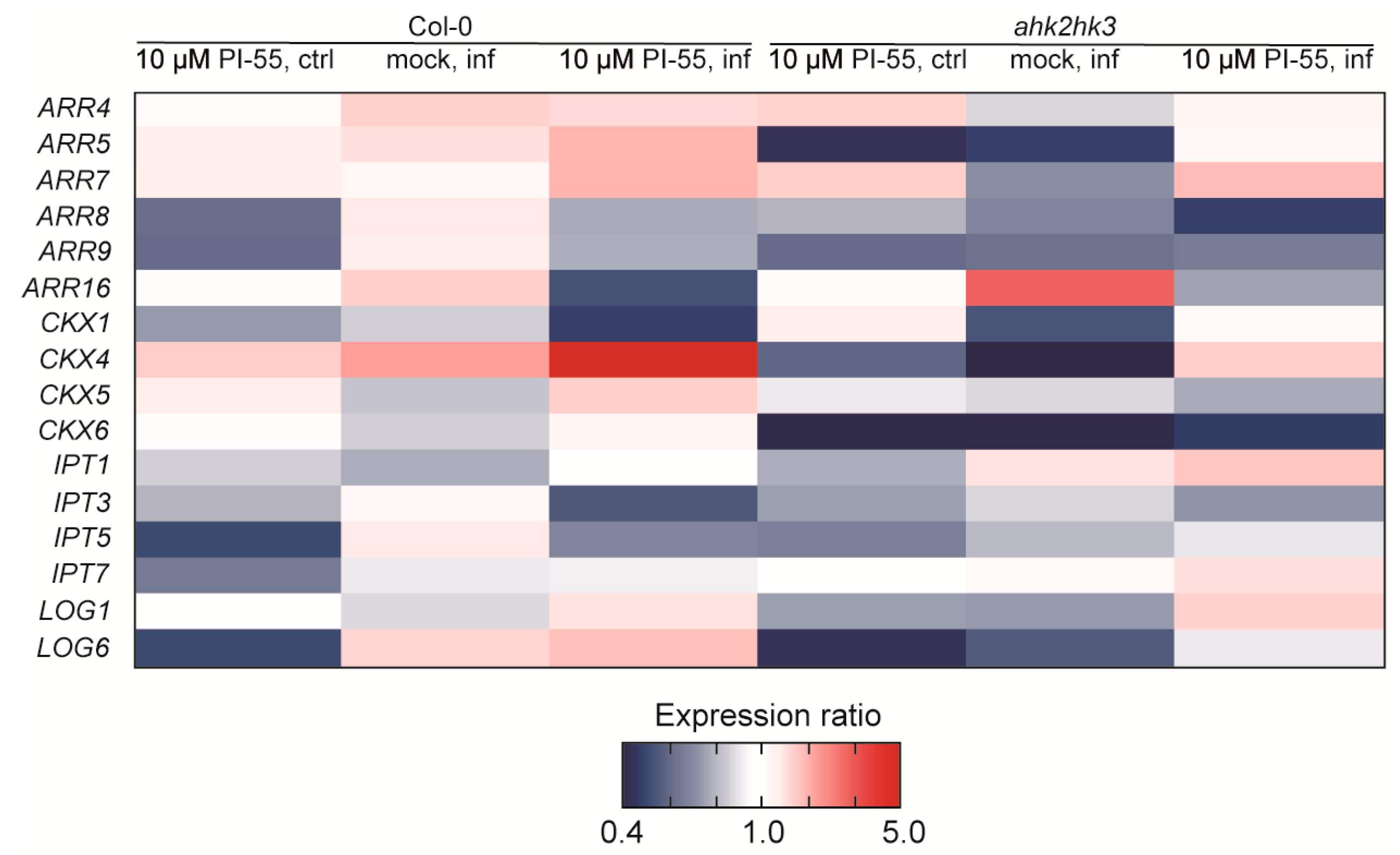 Biomolecules 13 00299 g006