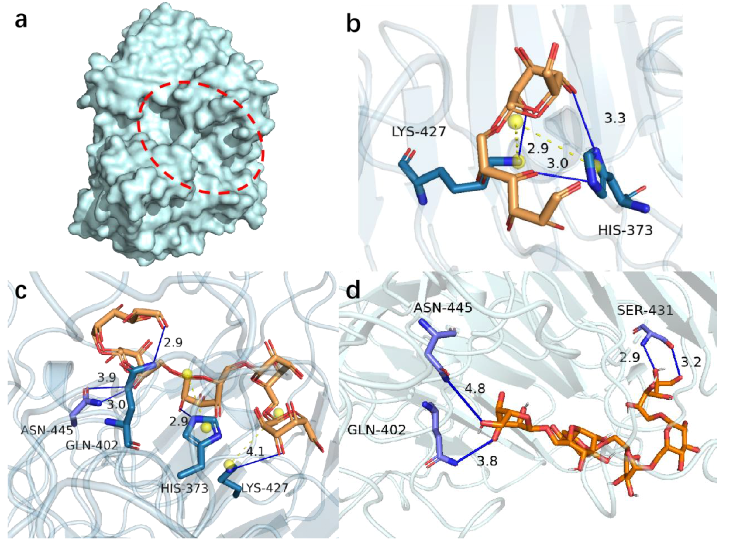 Biomolecules 13 00300 g001