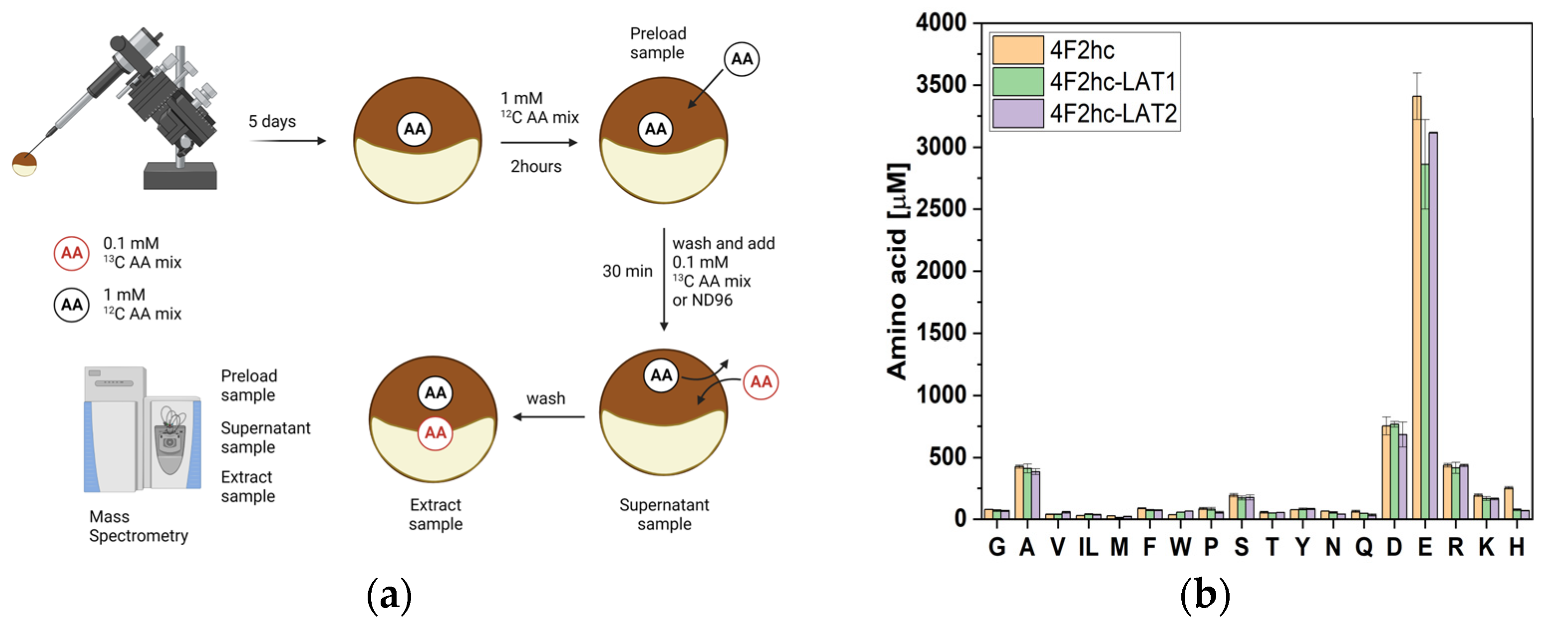 Biomolecules 13 00301 g002
