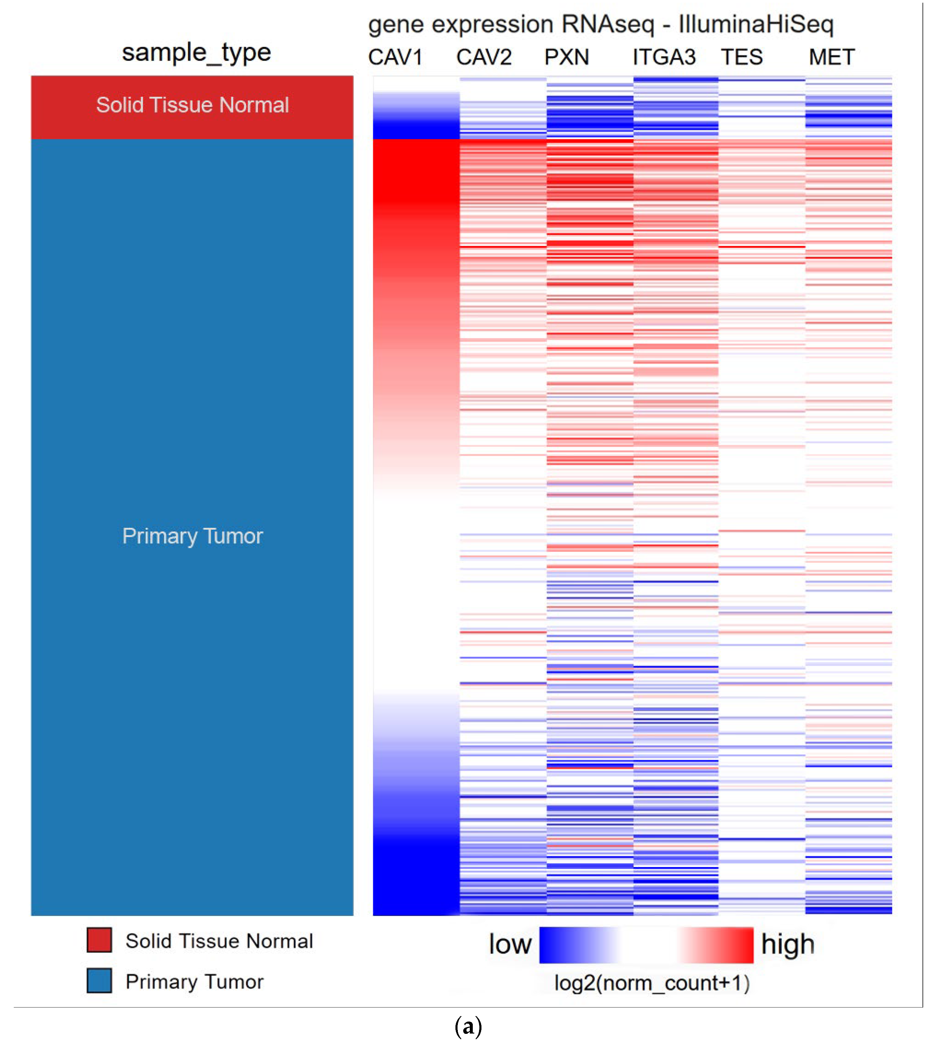 Biomolecules 13 00303 g007a