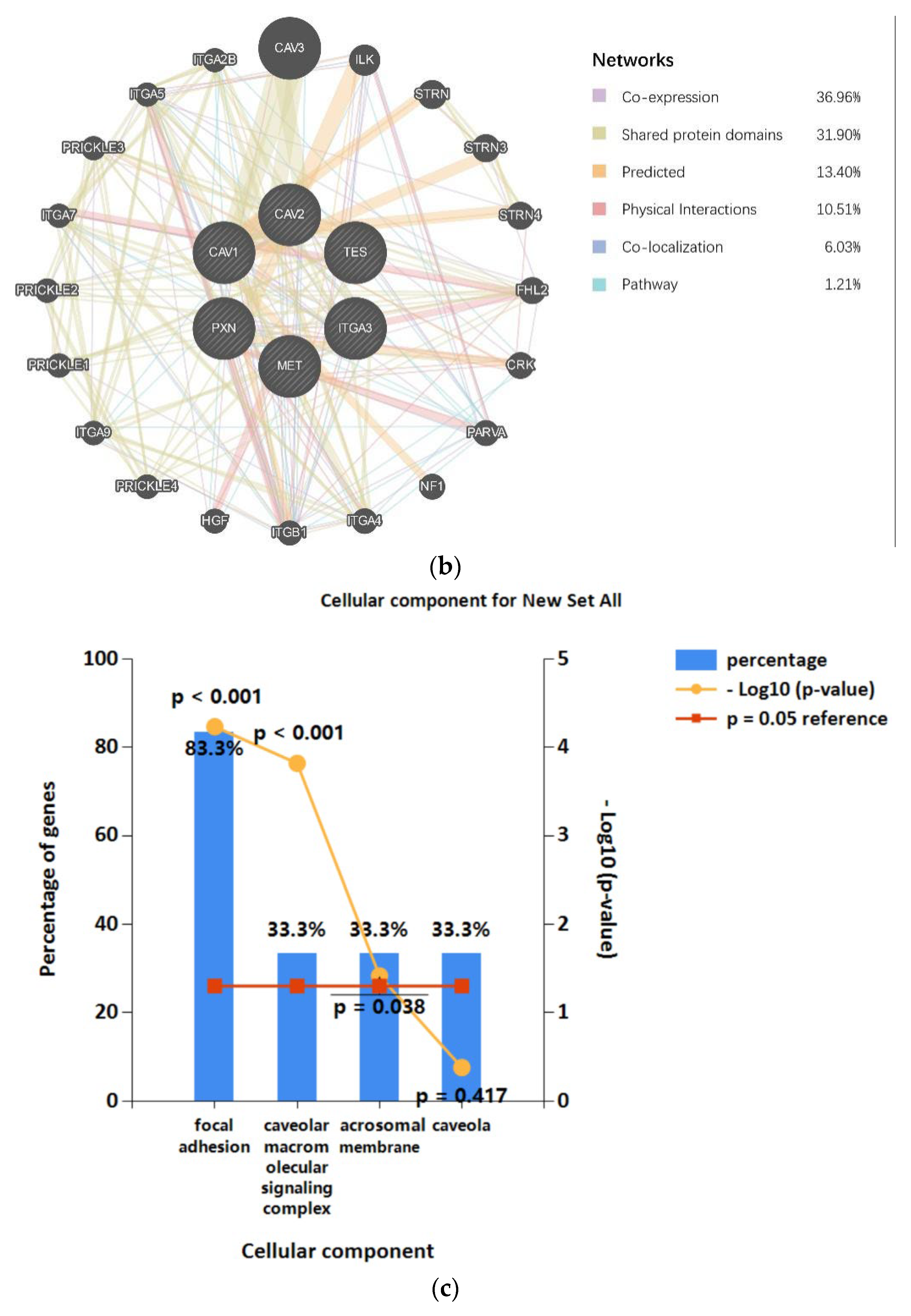 Biomolecules 13 00303 g007b