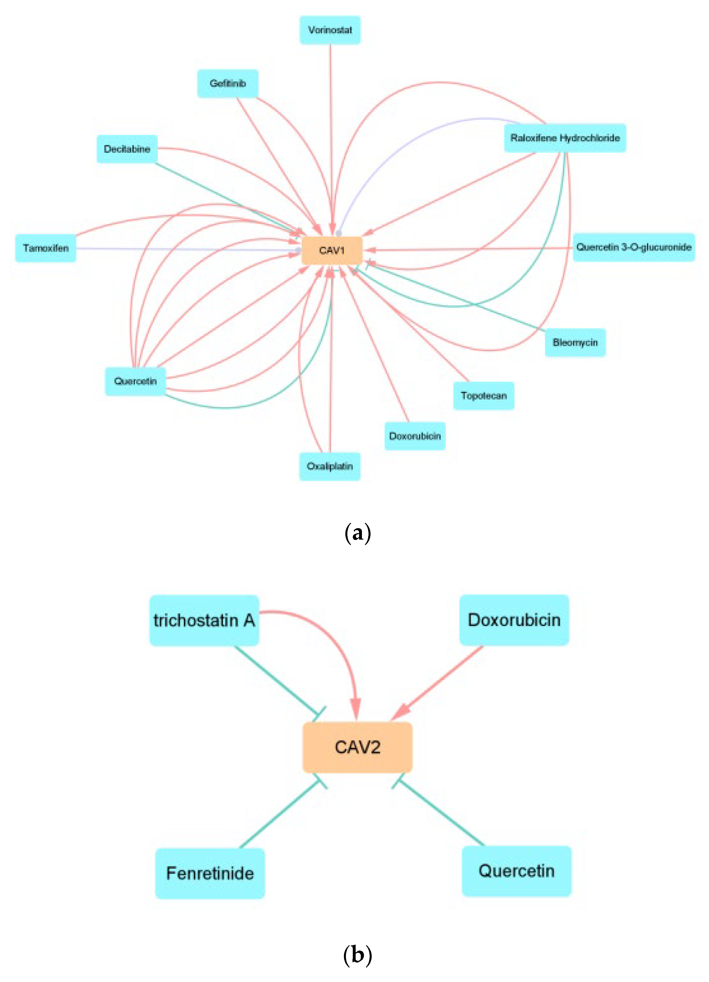 Biomolecules 13 00303 g010