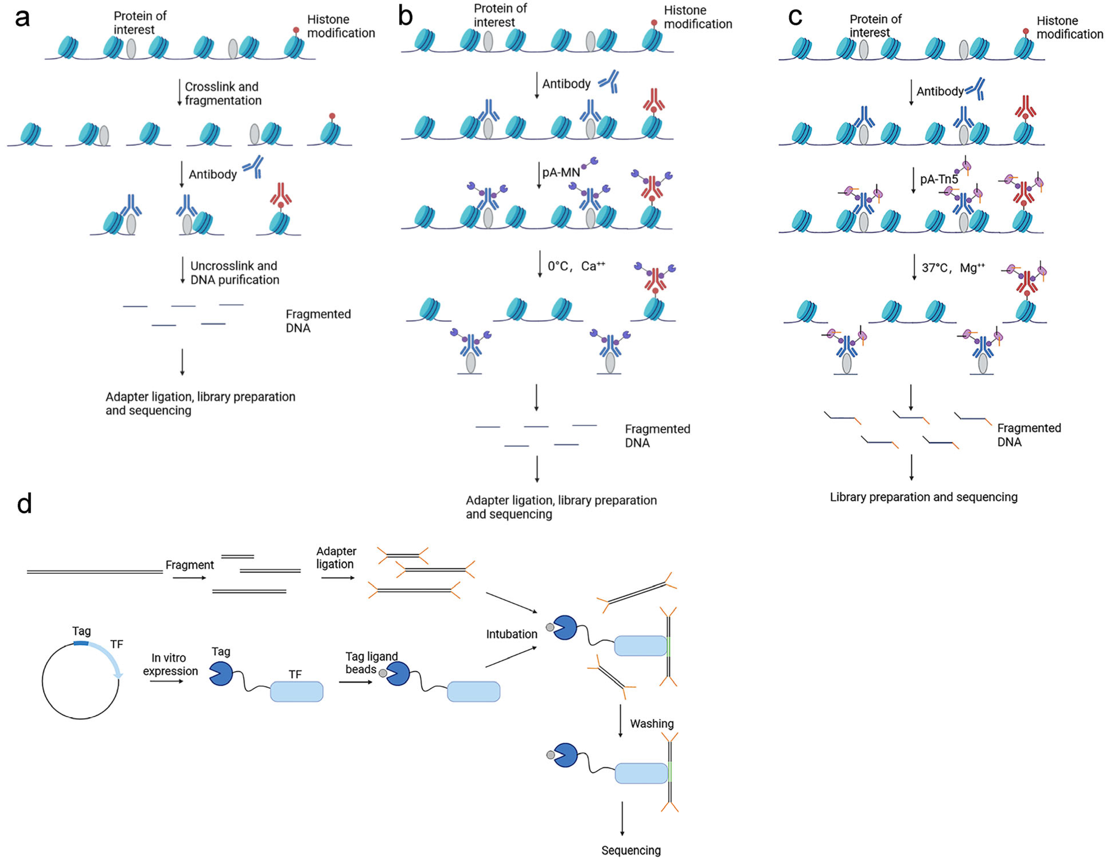 Biomolecules 13 00304 g001