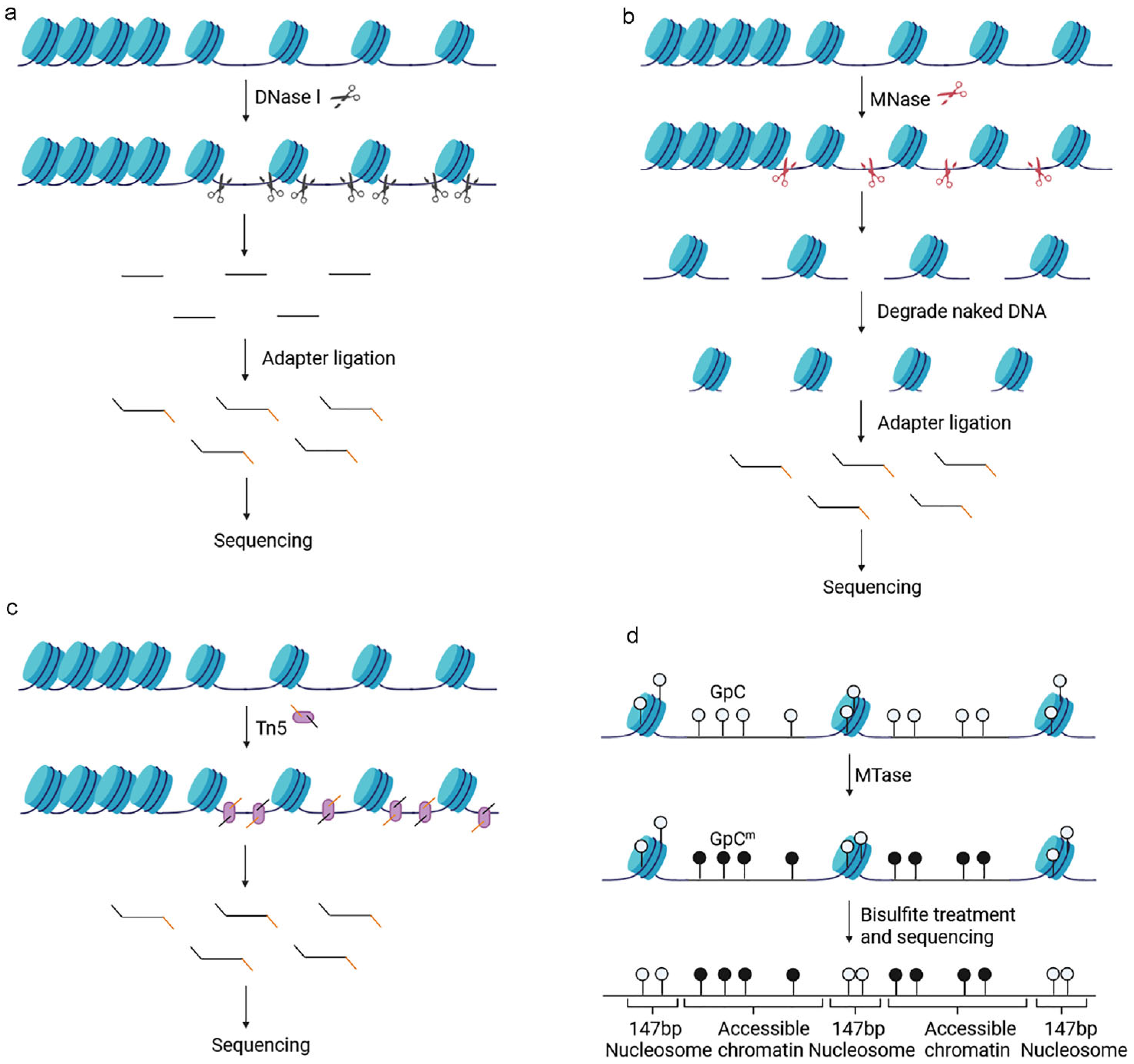 Biomolecules 13 00304 g002