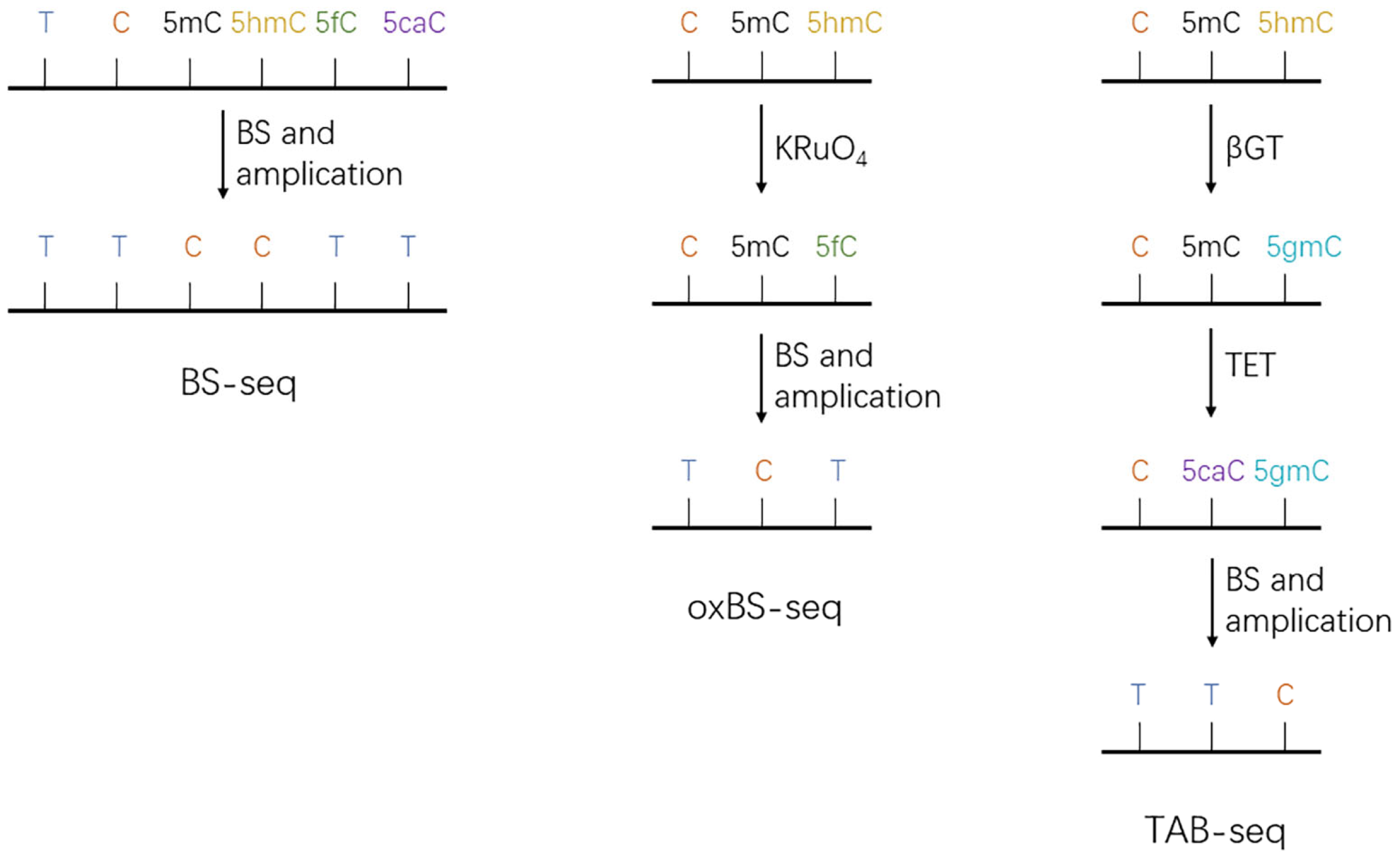 Biomolecules 13 00304 g004