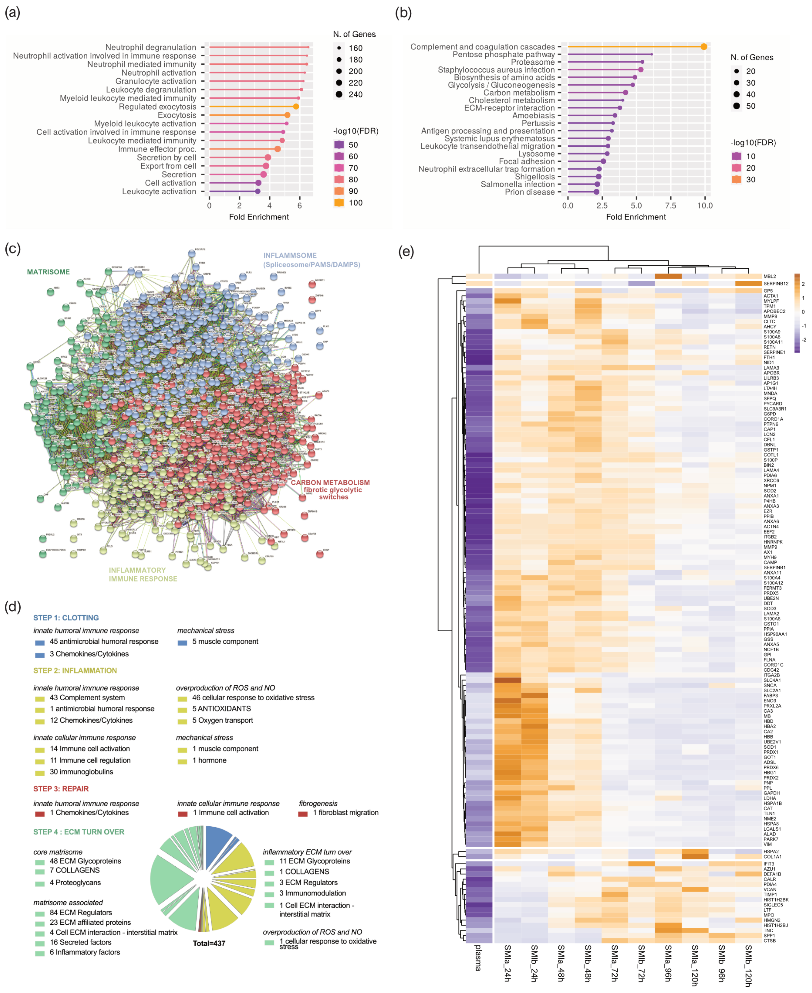 Biomolecules 13 00305 g004 Biomolecules 13 00305 g004