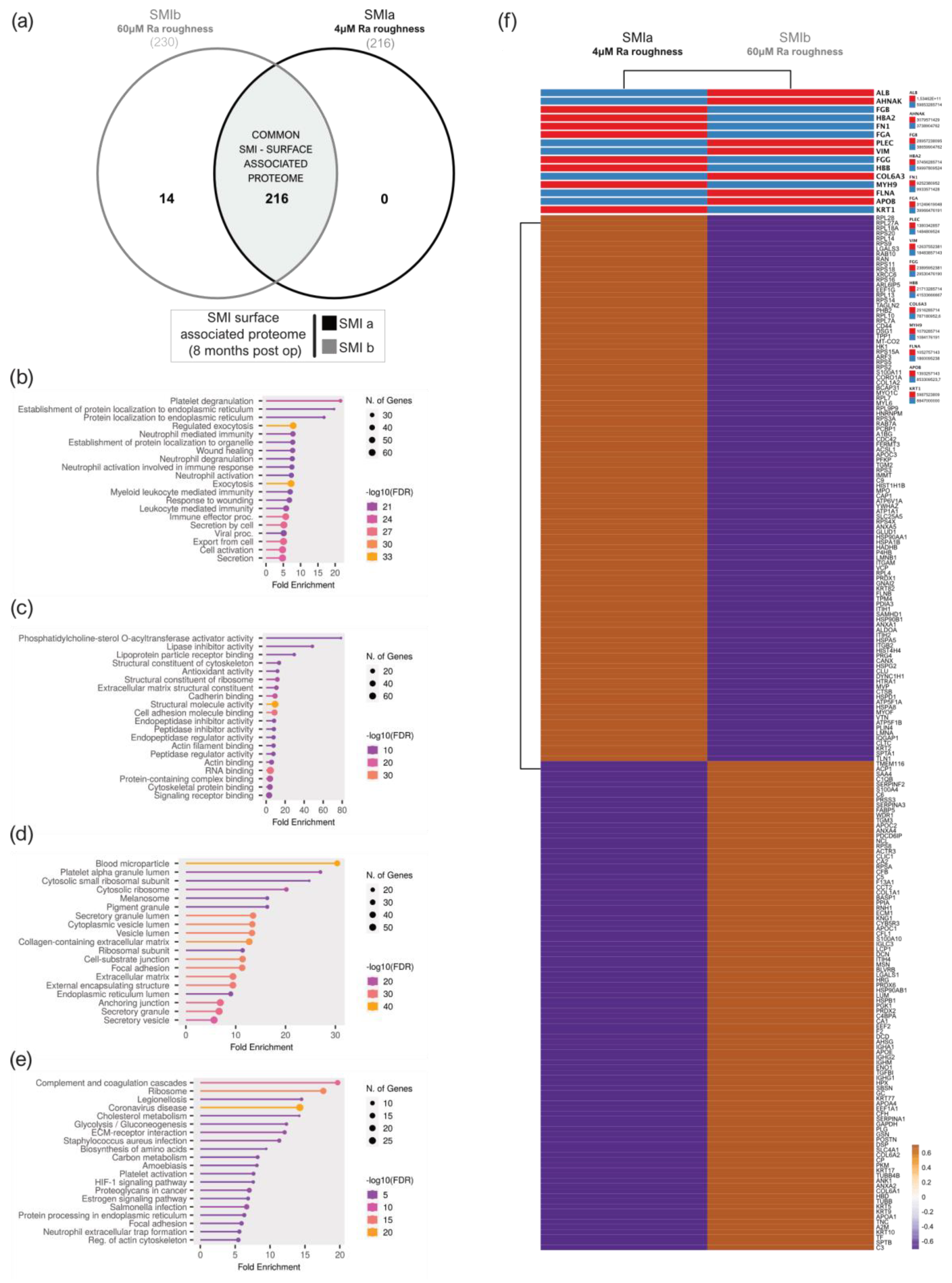 Biomolecules 13 00305 g006 Biomolecules 13 00305 g006