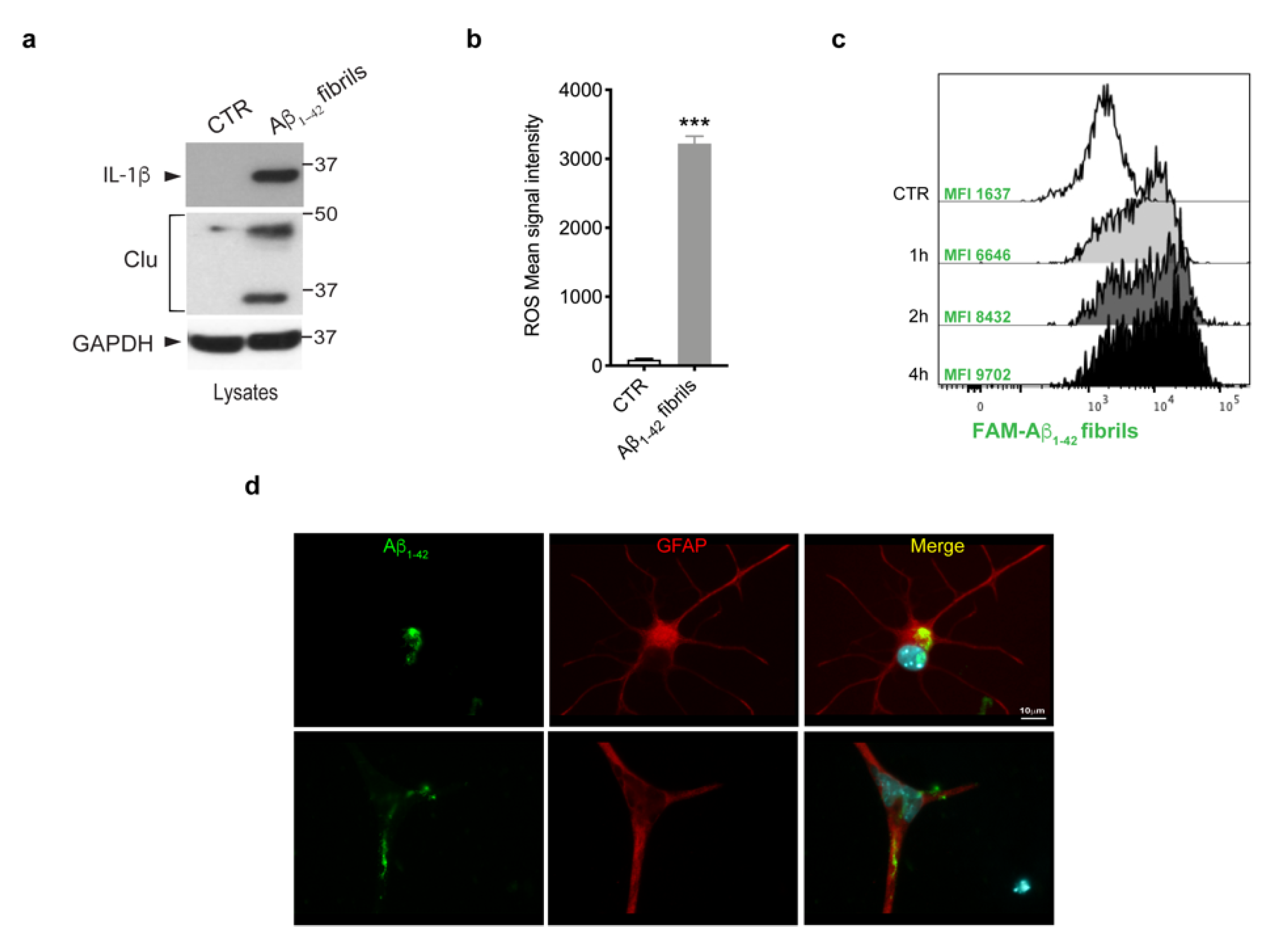 Biomolecules 13 00307 g002 Biomolecules 13 00307 g002