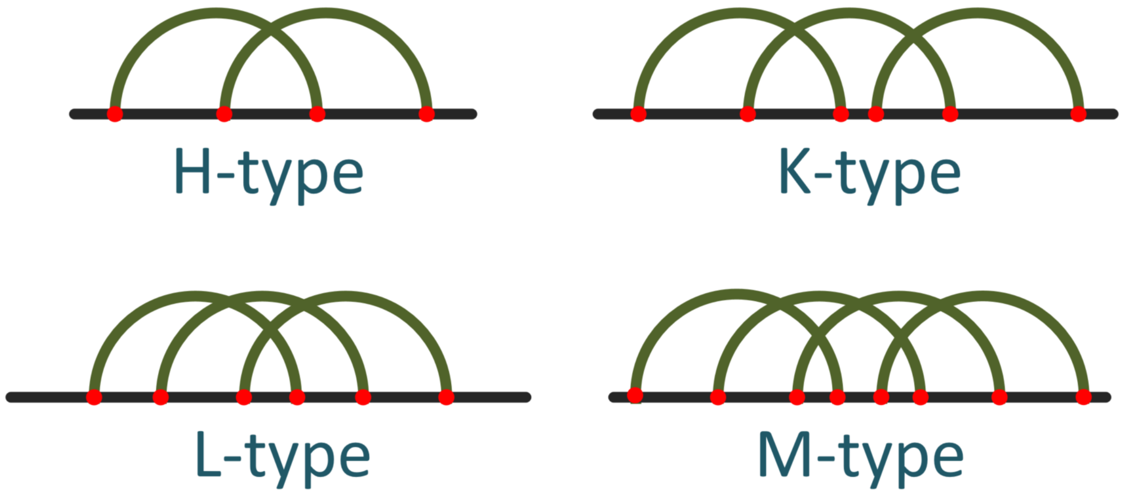 Biomolecules 13 00308 g001 Biomolecules 13 00308 g001