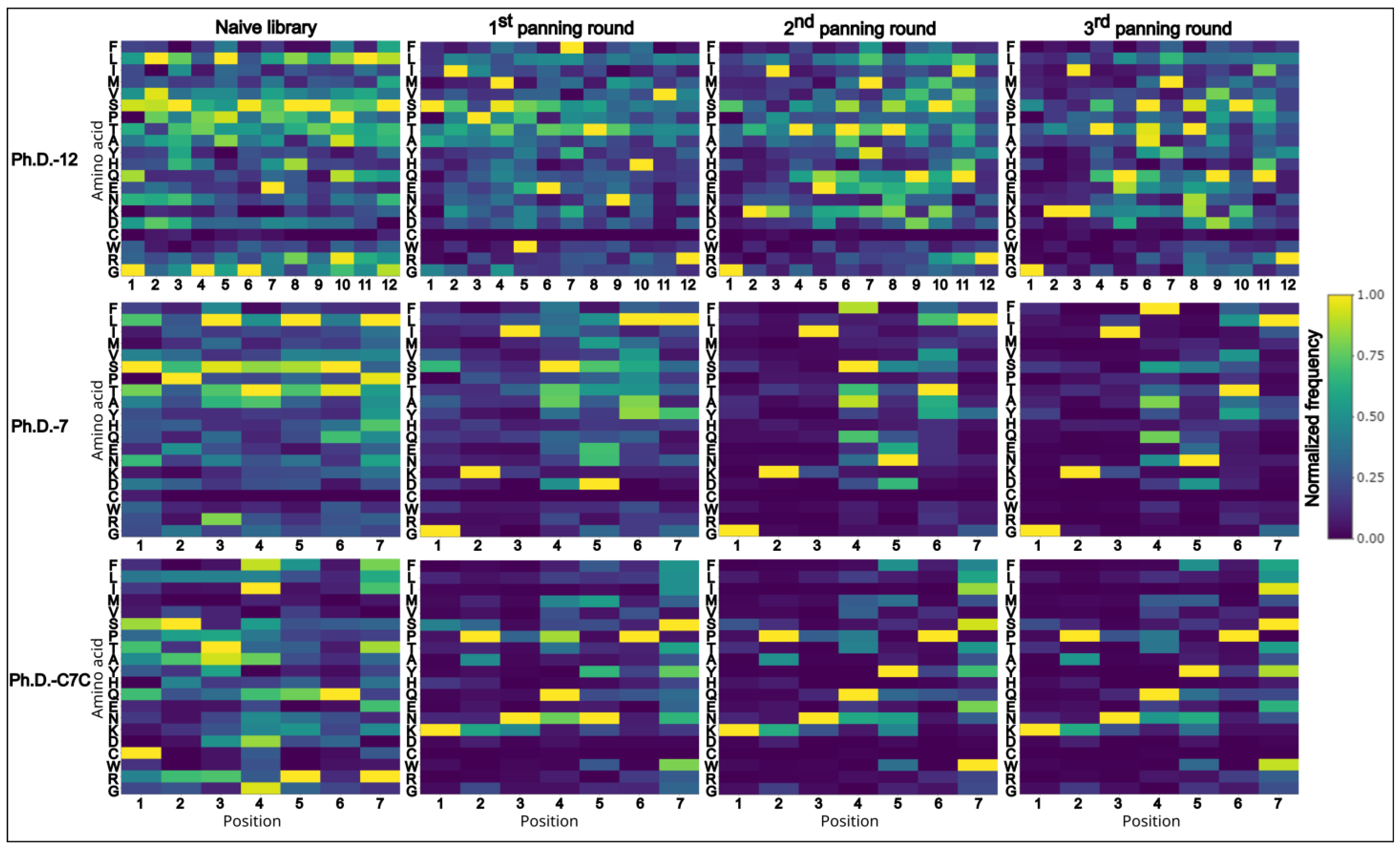 Biomolecules 13 00310 g004