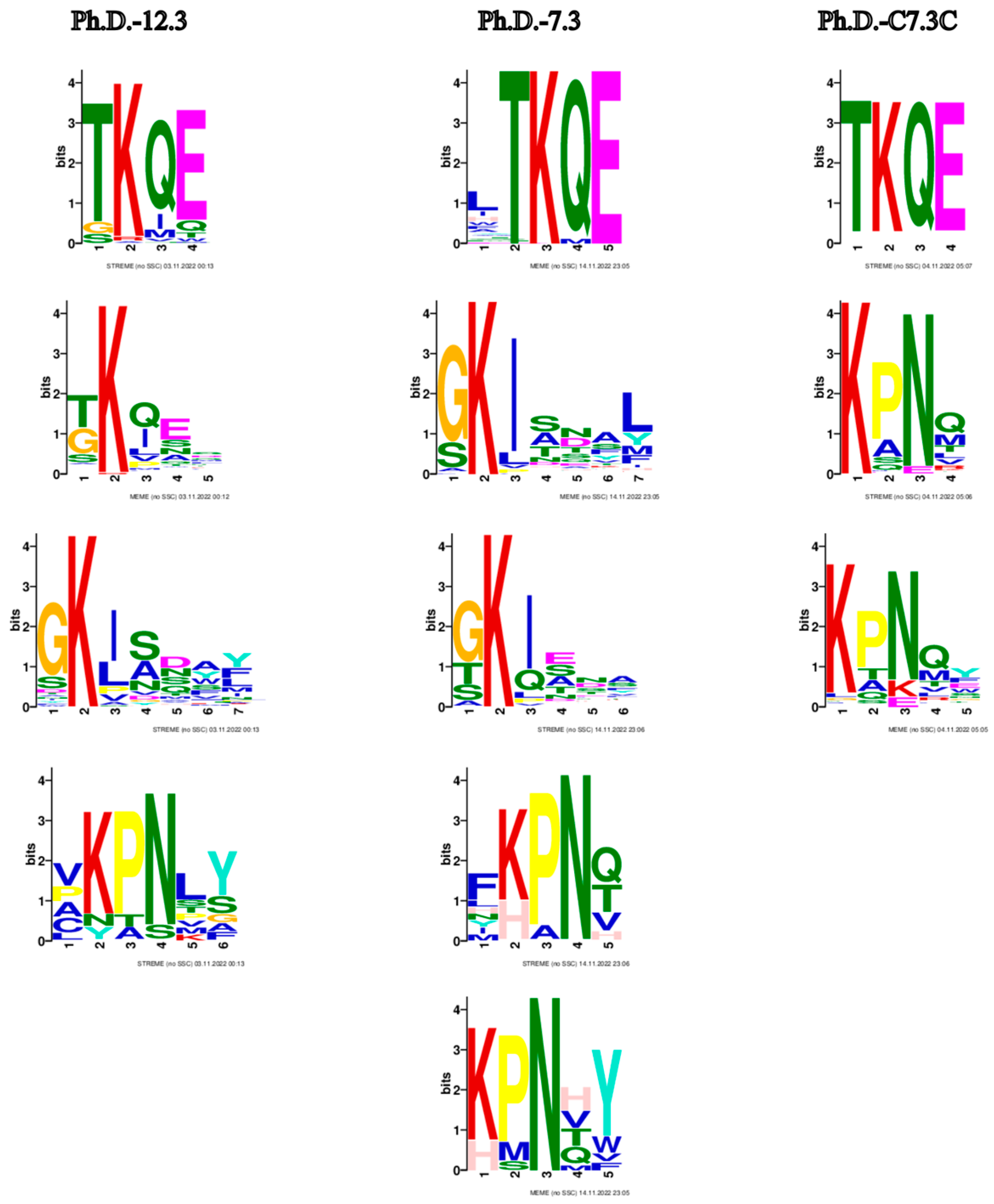 Biomolecules 13 00310 g005