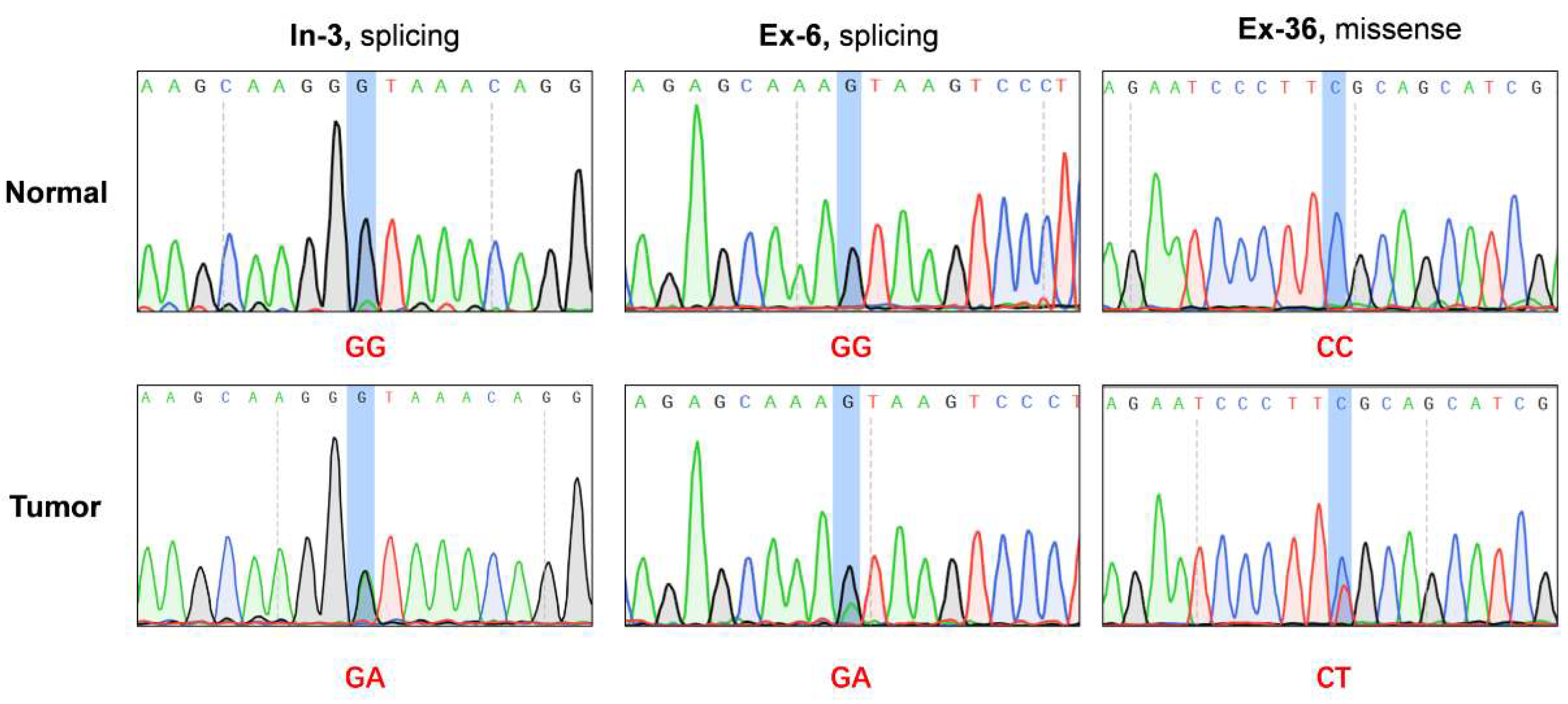 Biomolecules 13 00312 g001