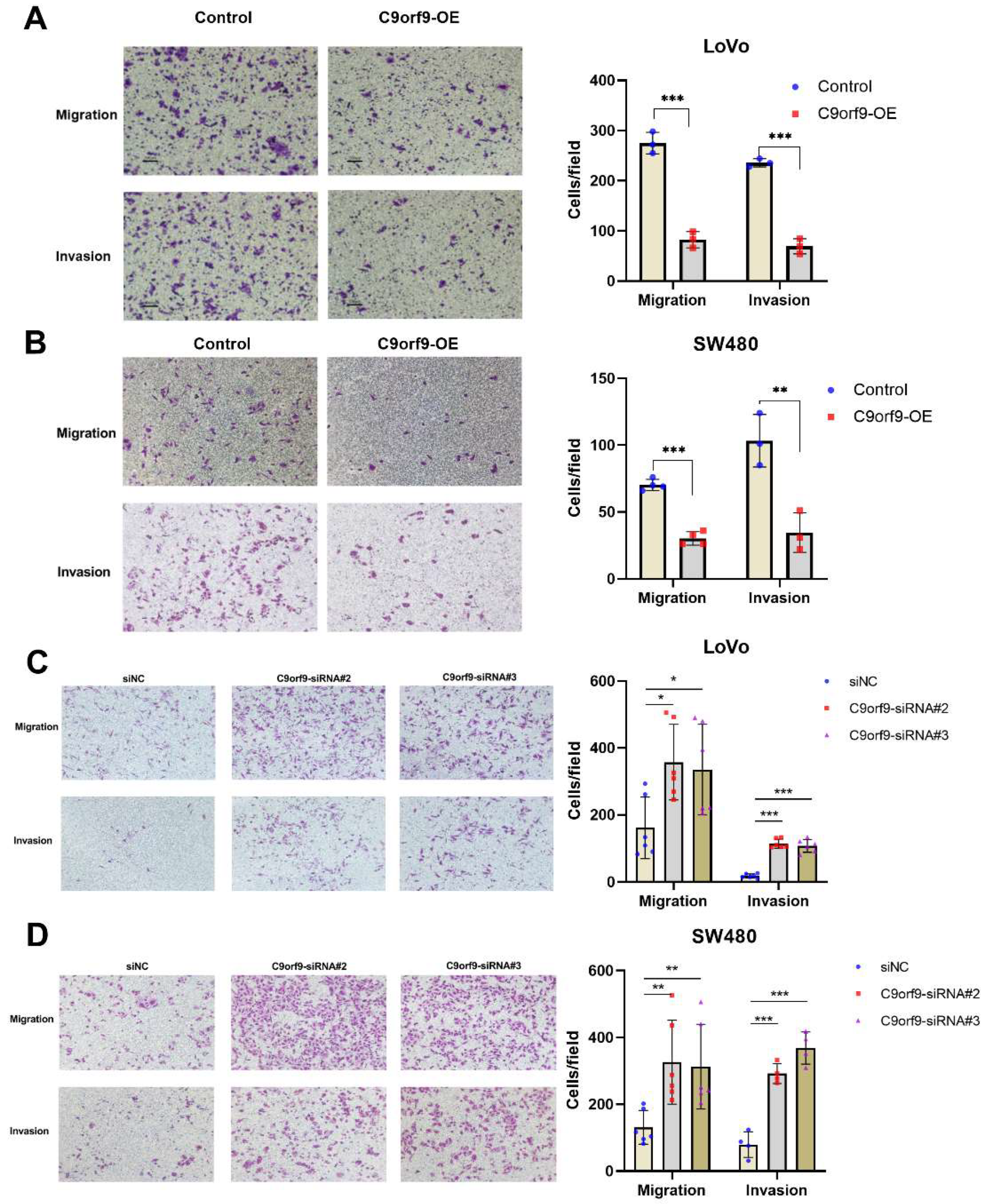 Biomolecules 13 00312 g004