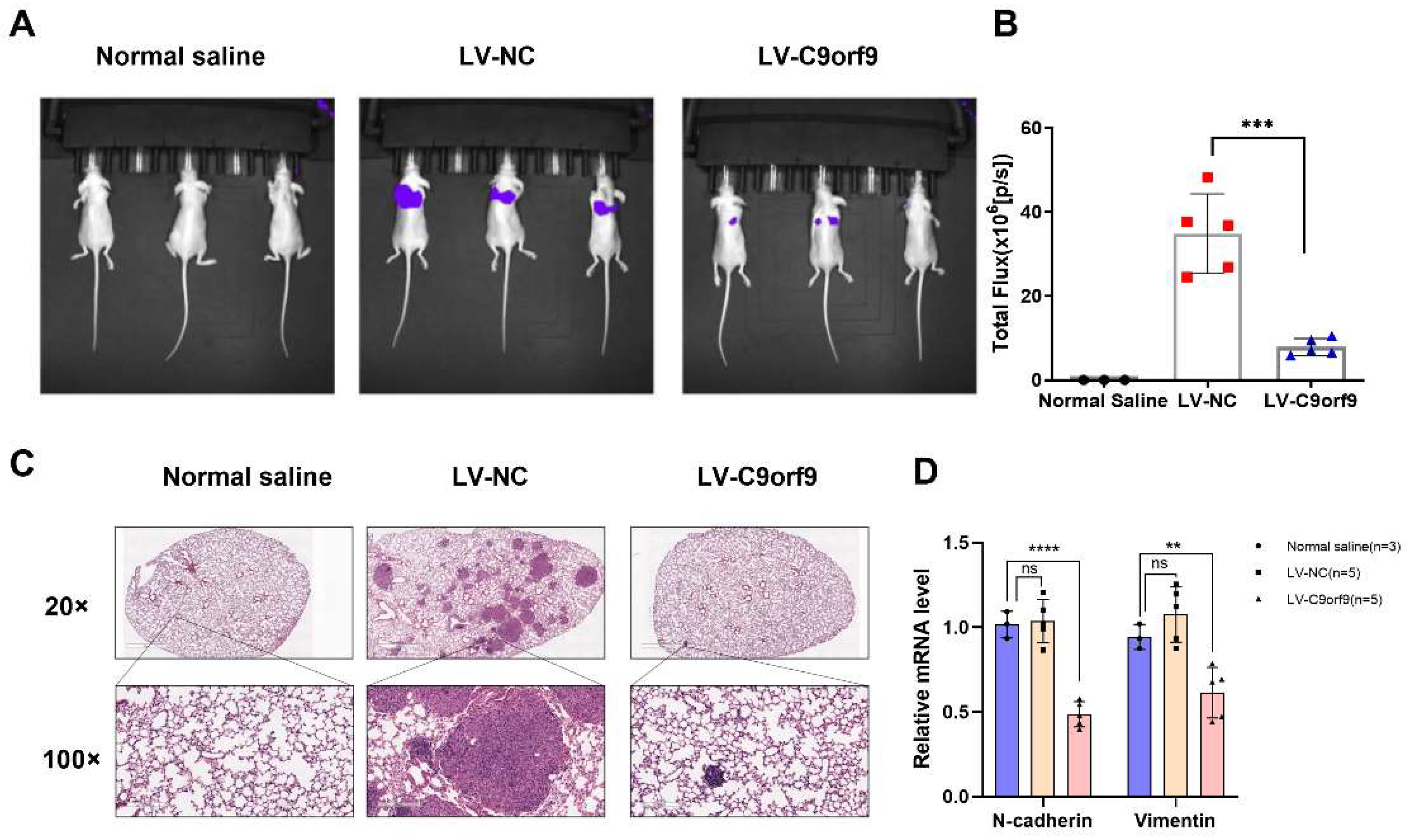 Biomolecules 13 00312 g005