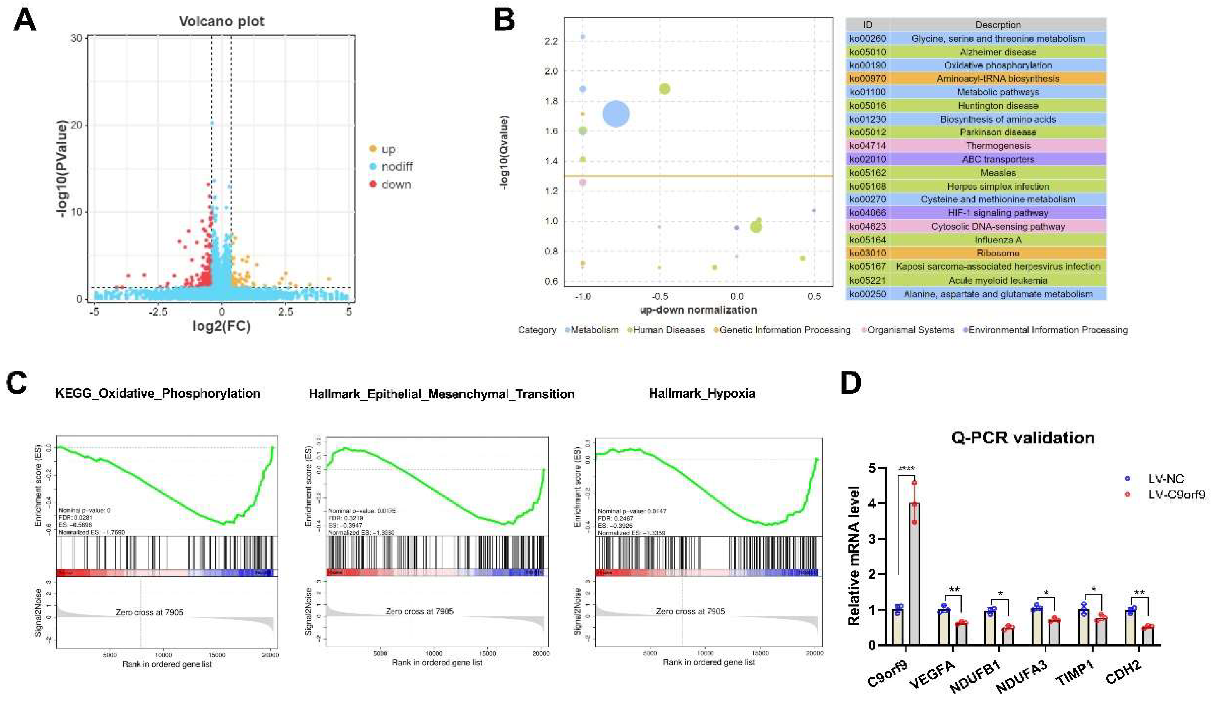 Biomolecules 13 00312 g007