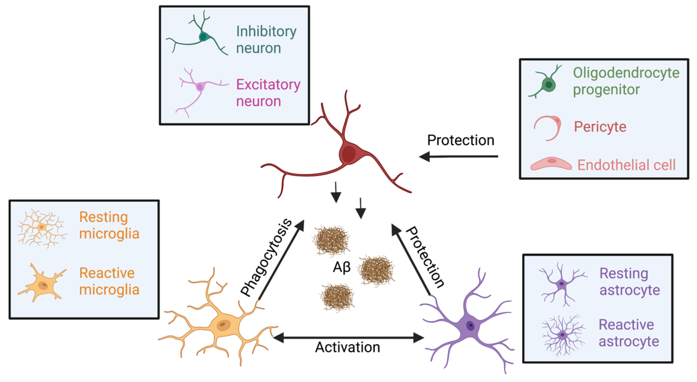 Biomolecules 13 00313 g003