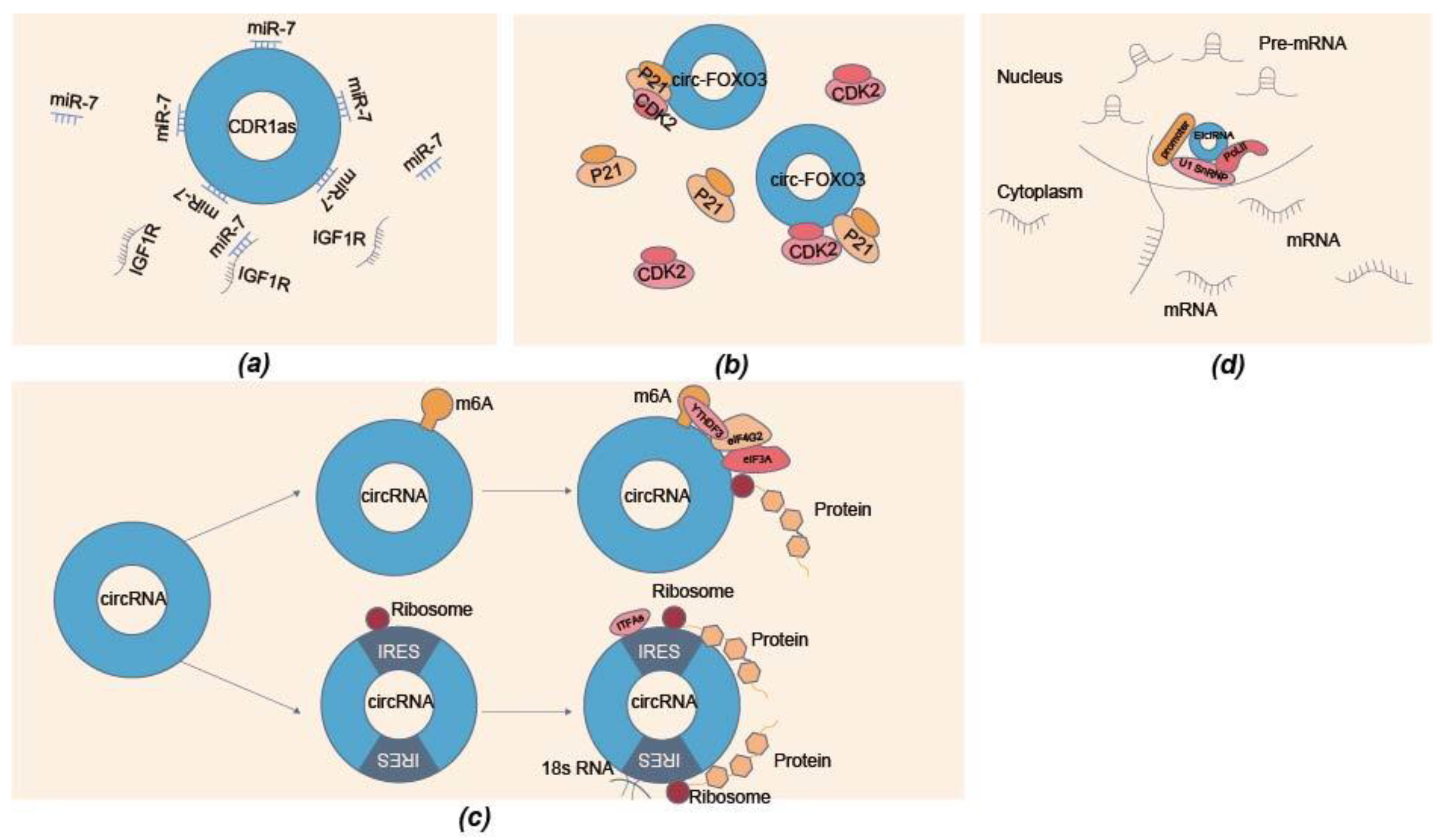 Biomolecules 13 00314 g002