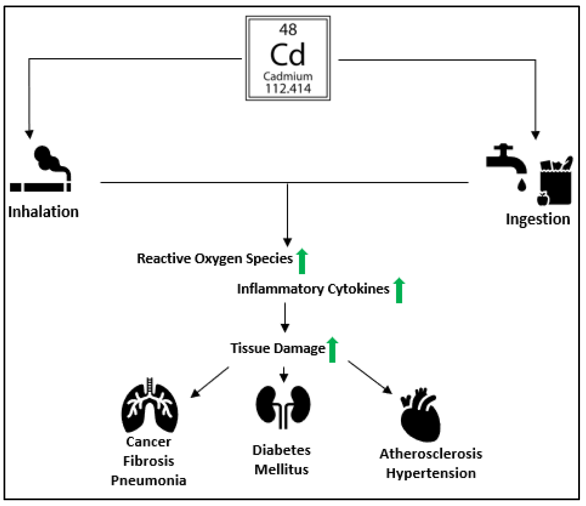 Biomolecules 13 00316 g001 Biomolecules 13 00316 g001