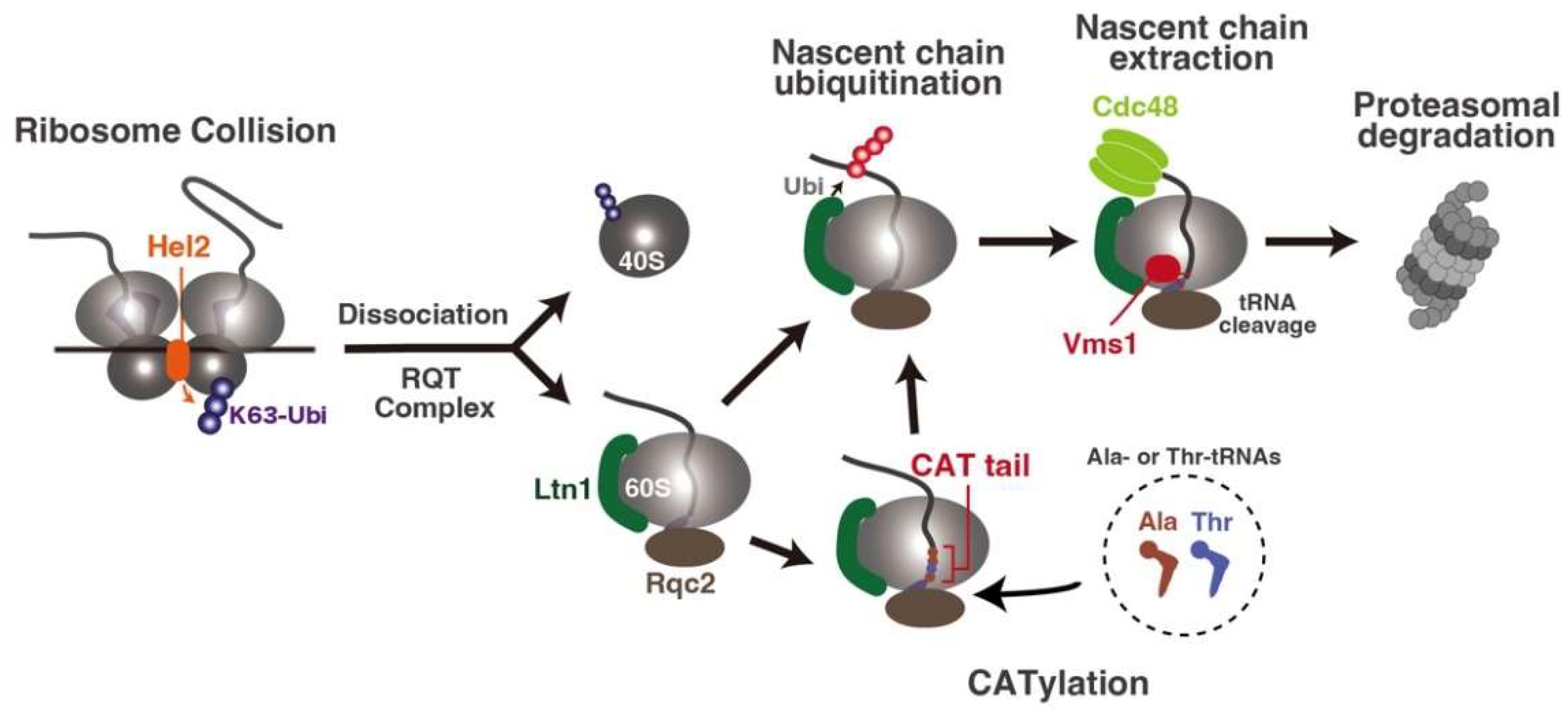 Biomolecules 13 00317 g003