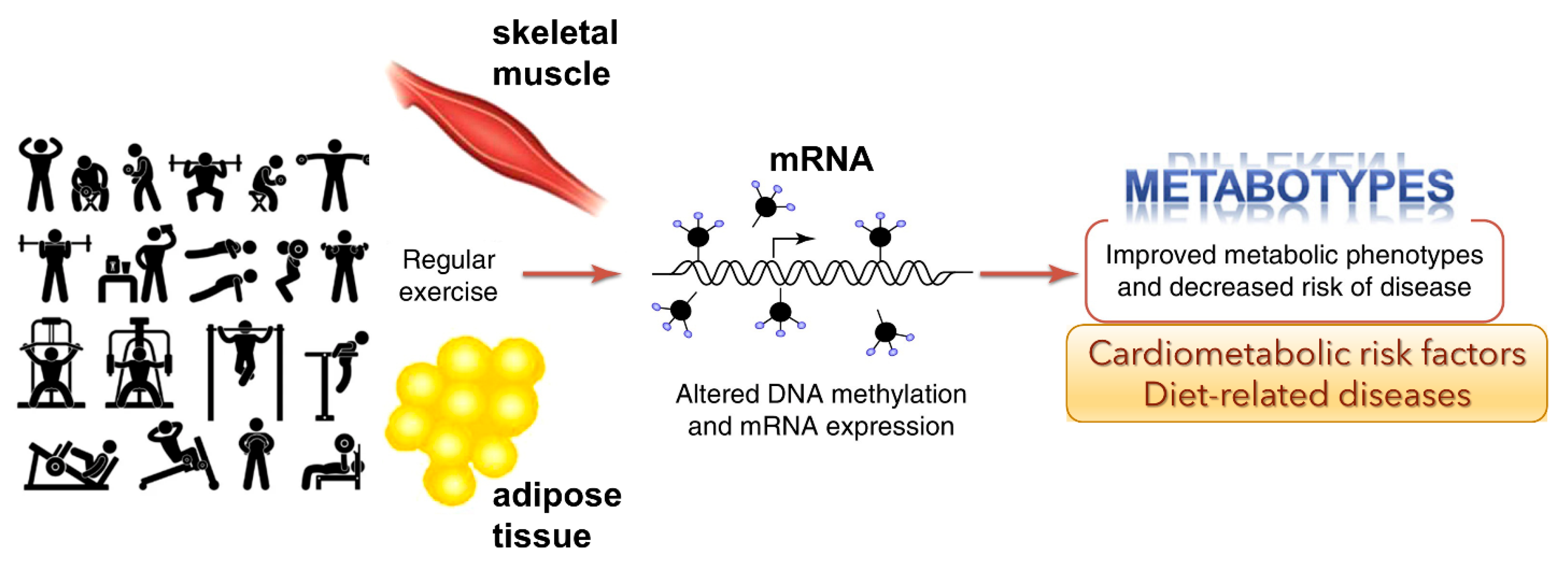 Biomolecules 13 00318 g003