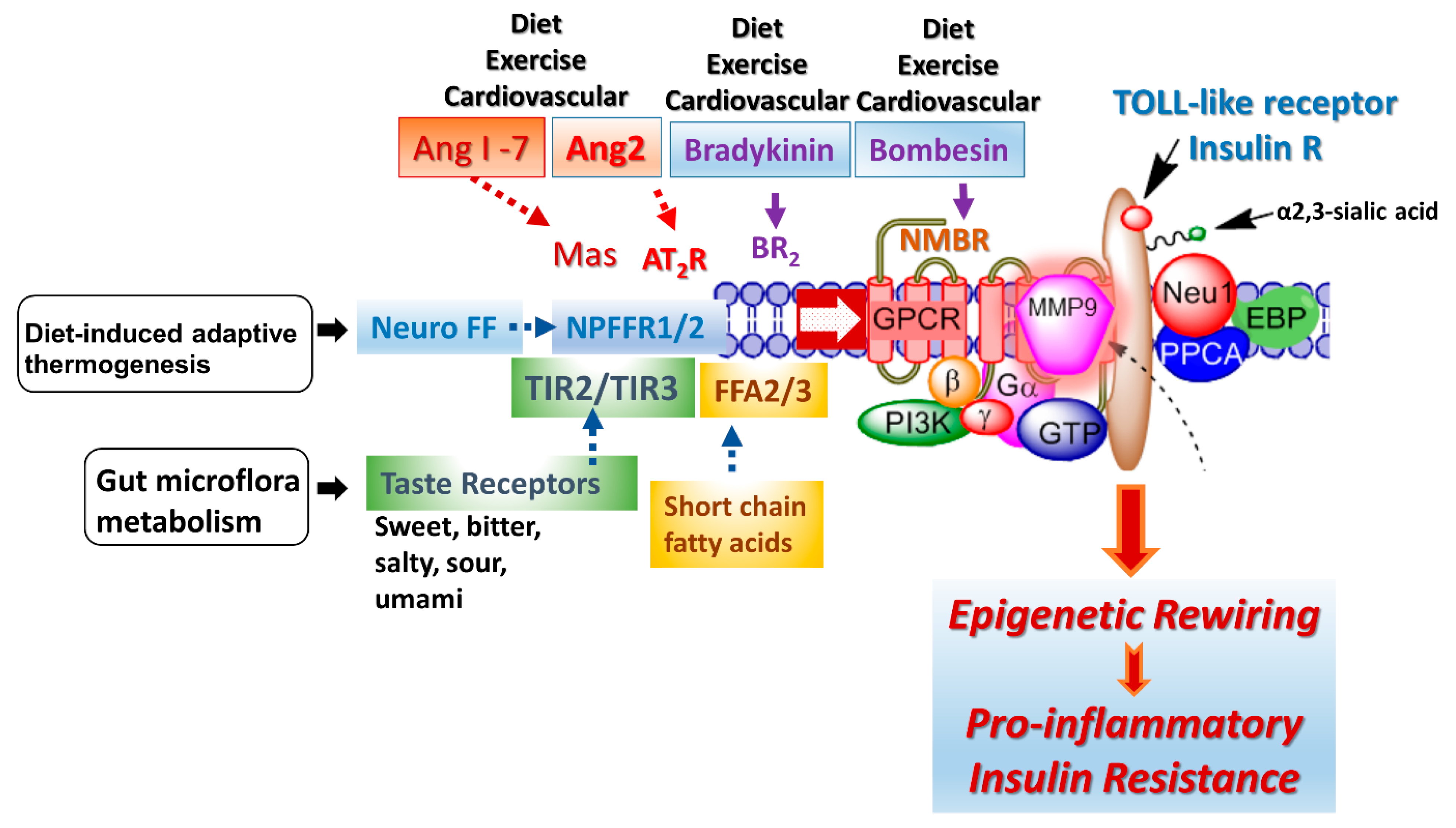 Biomolecules 13 00318 g004