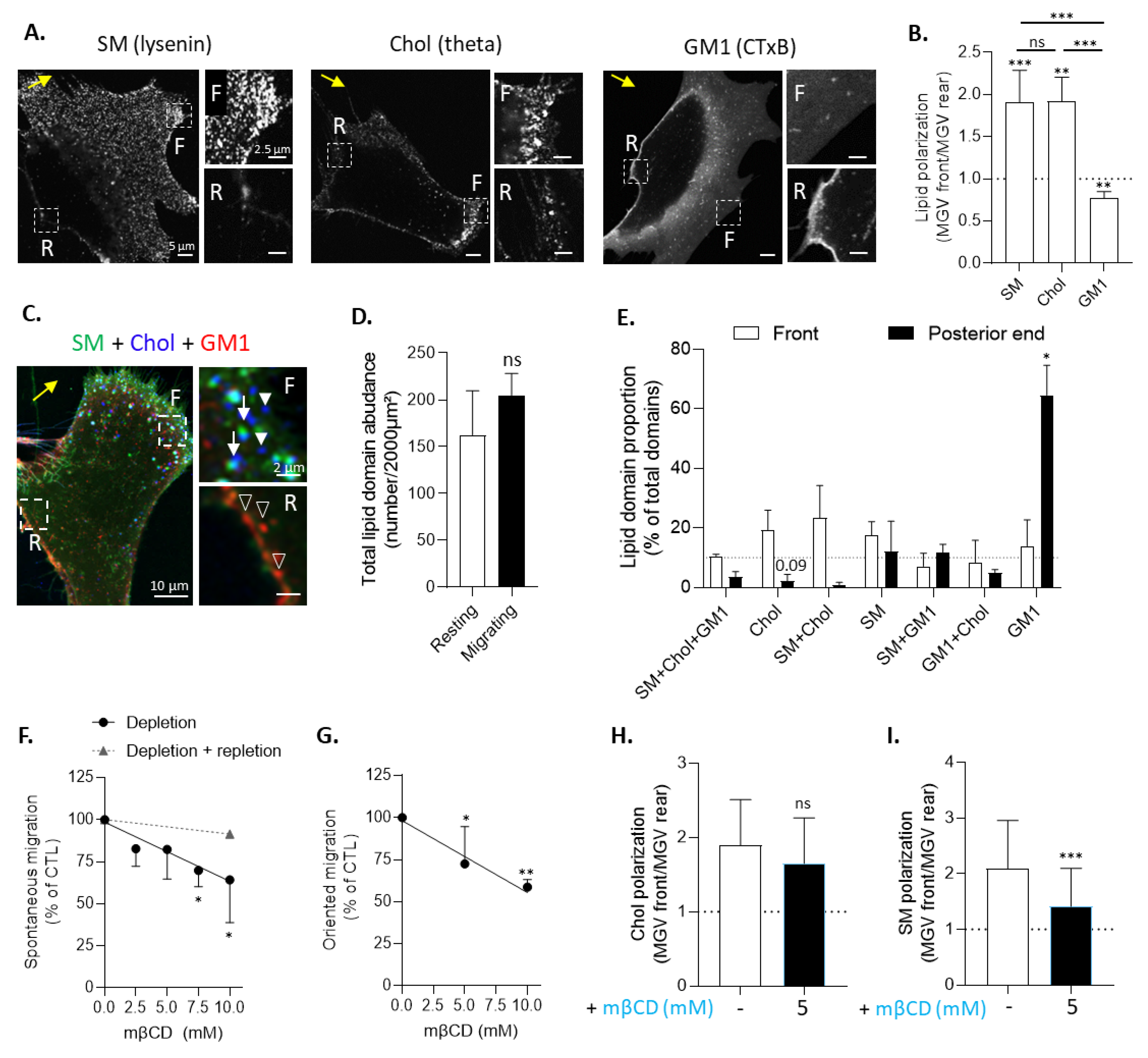 Biomolecules 13 00319 g004