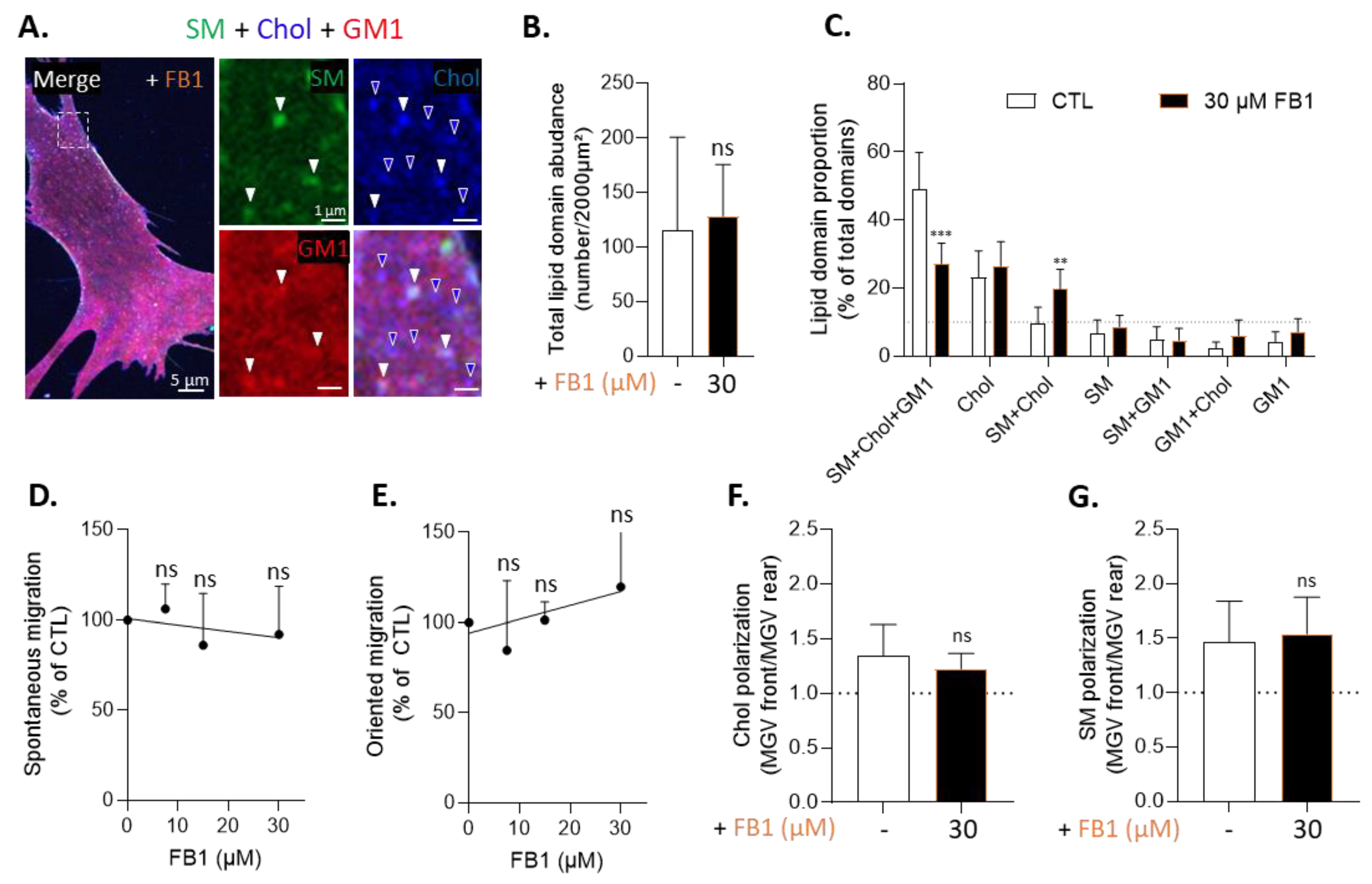 Biomolecules 13 00319 g005
