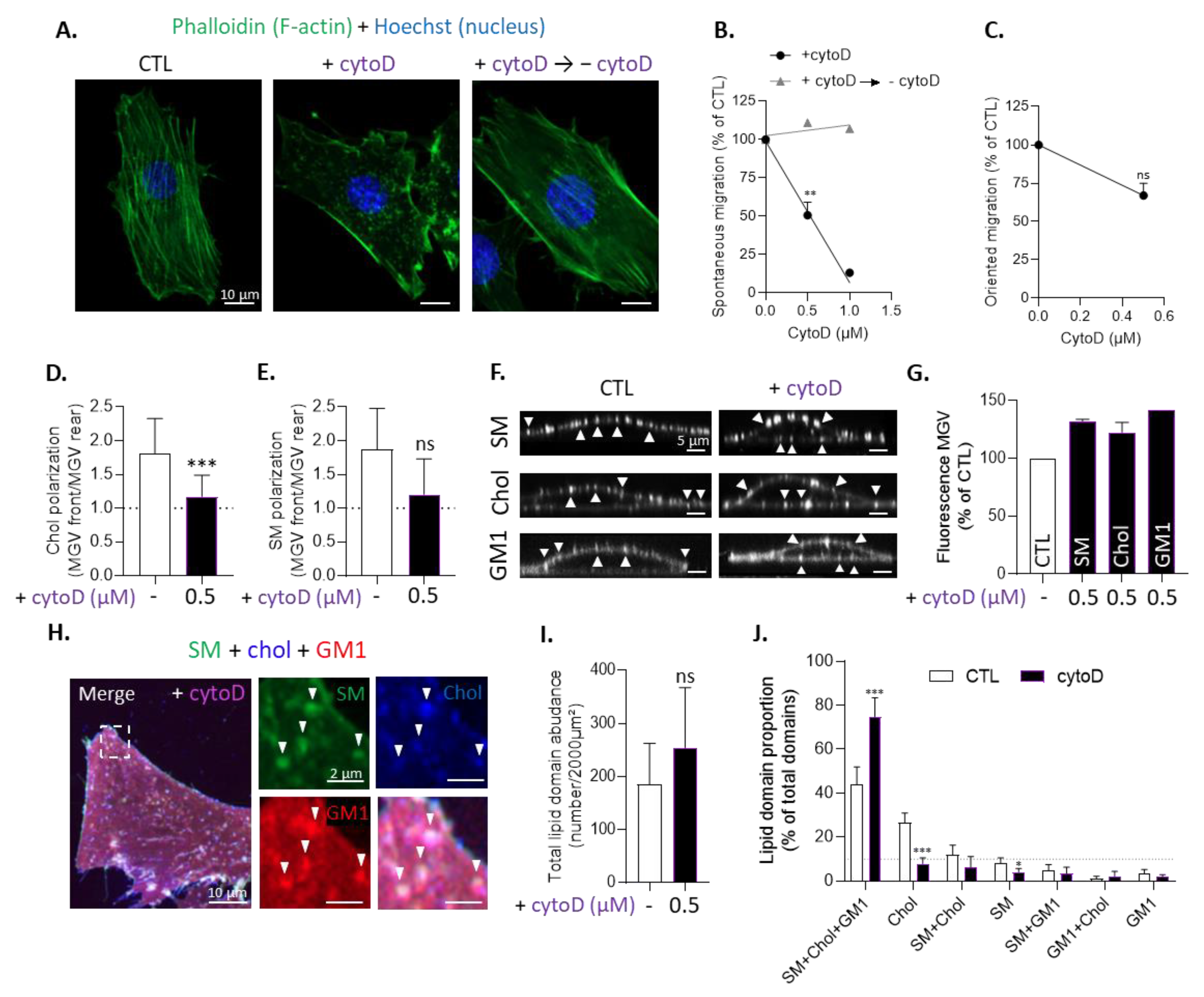 Biomolecules 13 00319 g006