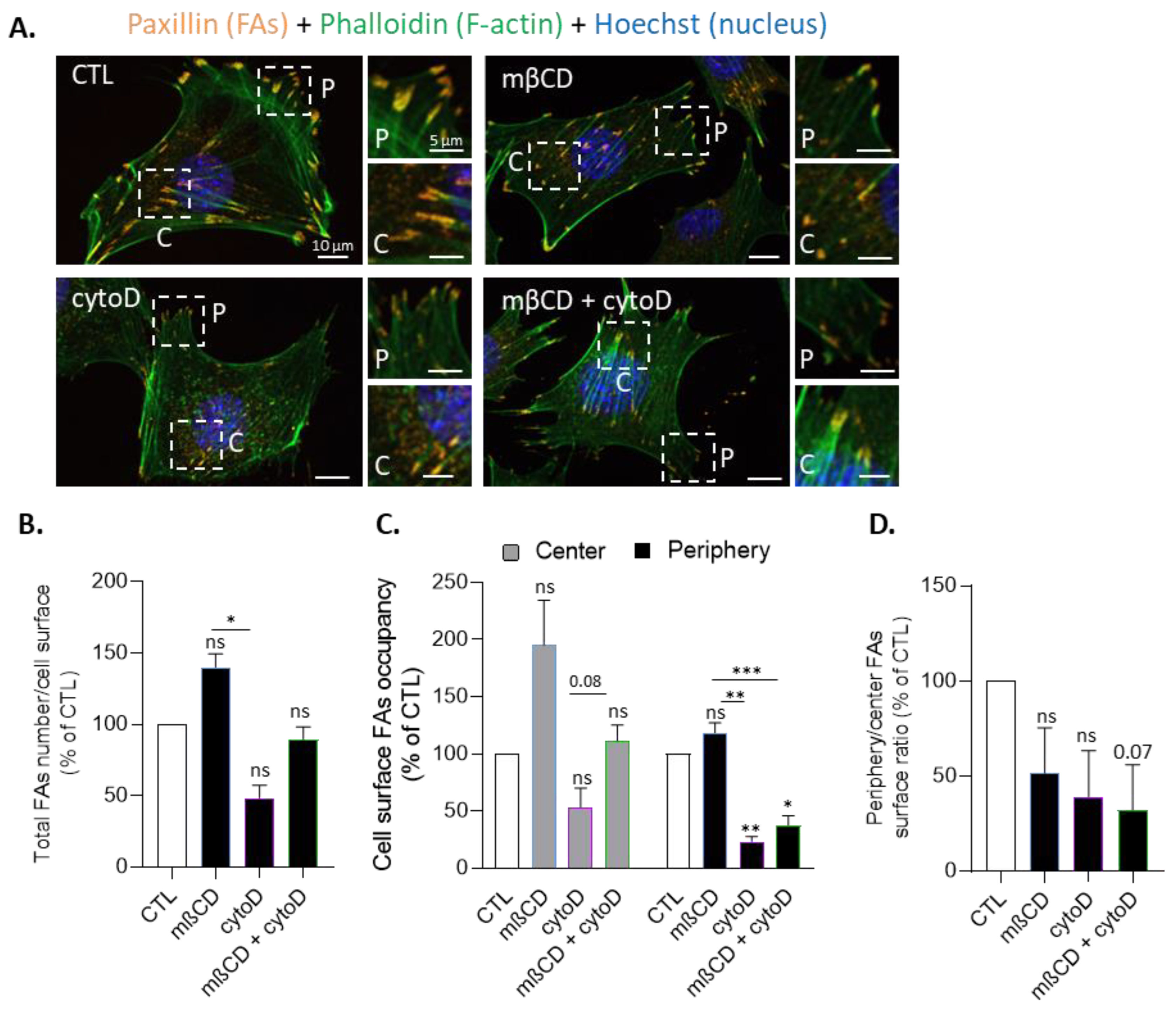 Biomolecules 13 00319 g008