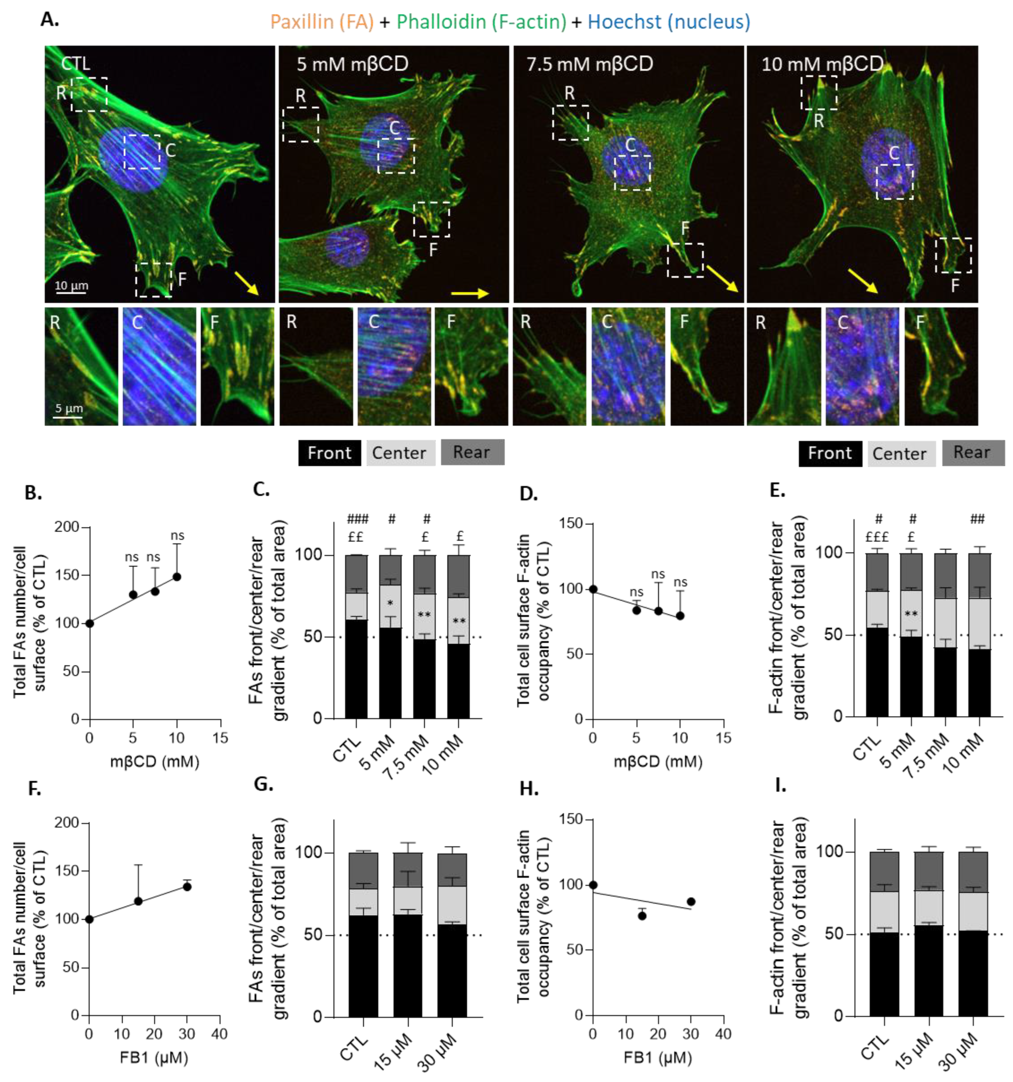 Biomolecules 13 00319 g009