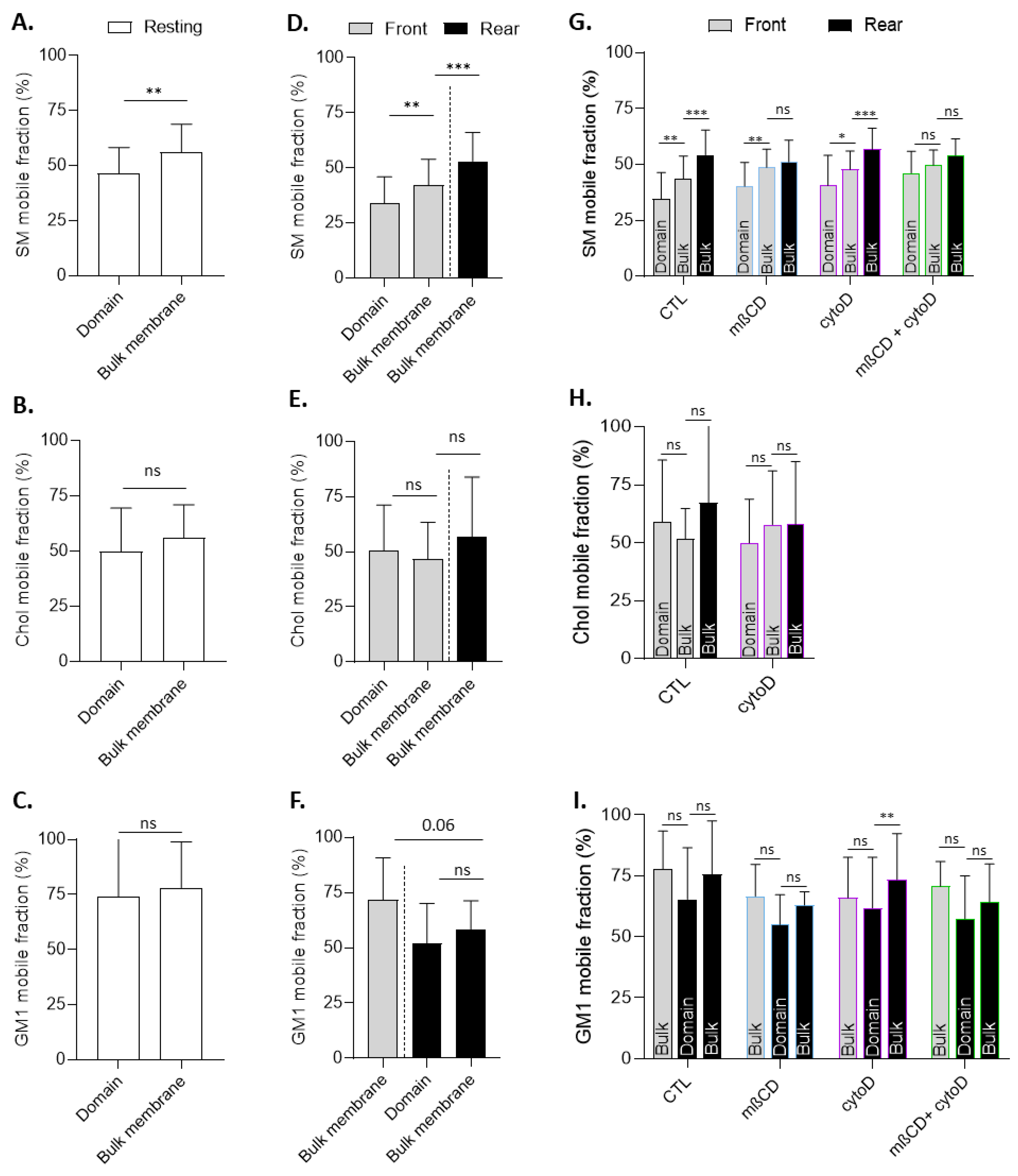 Biomolecules 13 00319 g010